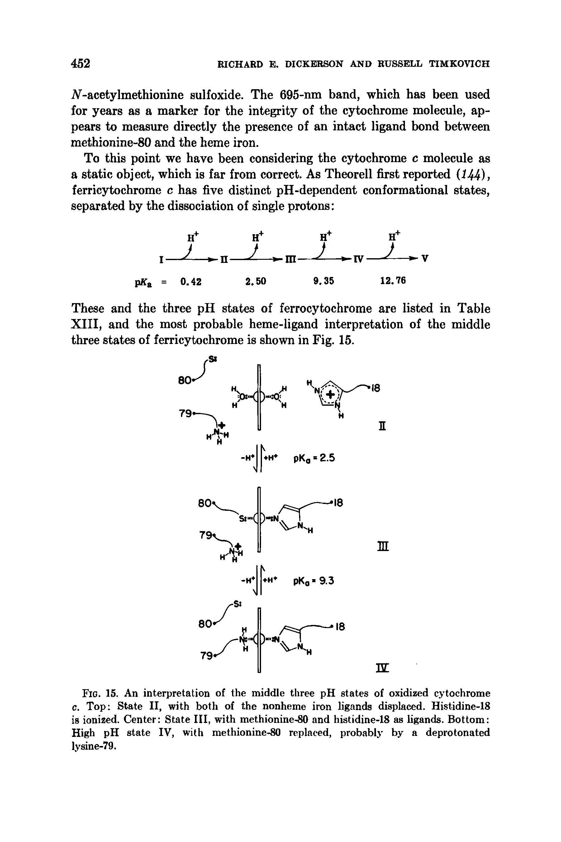 Fig. 15. An interpretation of the middle three pH states of oxidized cytochrome c. Top State II, with both of the nonheme iron ligands displaced. Histidine-18 is ionized. Center State III, with methionine-80 and histidine-18 as ligands. Bottom High pH state IV, with methionine-80 replaced, probably by a deprotonated lysine-79.