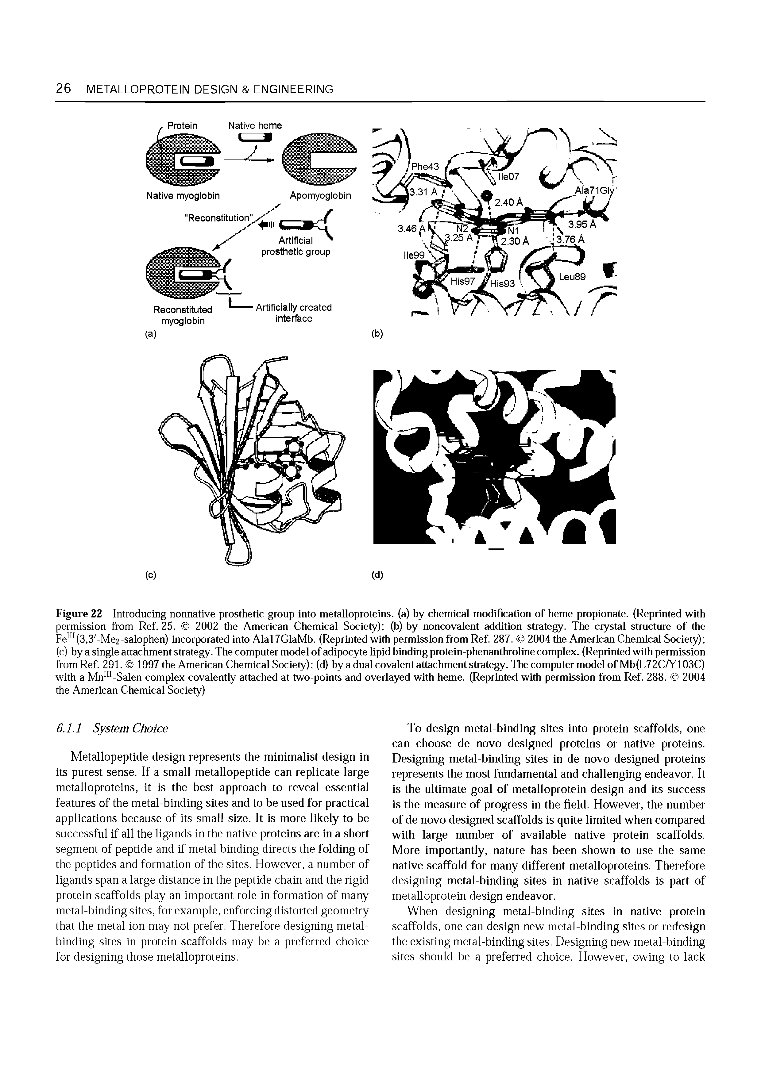 Figure 22 Introducing nonnative prosthetic group into metalloproteins. (a) by chemical modification of heme propionate. (Reprinted with permission from Ref. 25. 2002 the American Chemical Society) (b) by noncovalent addition strategy. The crystal structure of the Fe (3,3 -Me2-salophen) incorporated into Alal7GlaMb. (Reprinted with permission from Ref. 287. 2004 the American Chemical Society) (c) by a single attachment strategy. The computer model of adipocyte lipid binding protein-phenanthrolme complex. (Reprinted with permission from Ref. 291. 1997 the American Chemical Society) (d) by a dual covalent attachment strategy. The computer model of Mb(L72CA 103C) with a Mn -Salen complex covalently attached at two-points and overlayed with heme. (Reprinted with permission from Ref. 288. 2004 the American Chemical Society)...