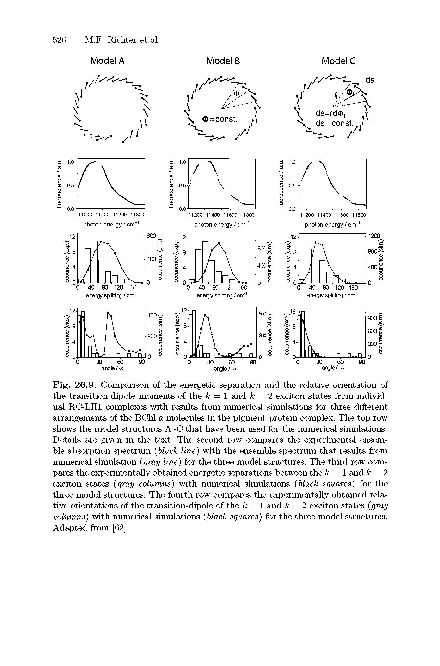 Fig. 26.9. Comparison of the energetic separation and the relative orientation of the transition-dipole moments of the k = 1 and k = 2 exciton states from individual RC-LHl complexes with results from numerical simulations for three different arrangements of the BChl a molecules in the pigment-protein complex. The top row shows the model structures A-C that have been used for the numerical simulations. Details are given in the text. The second row compares the experimental ensemble absorption spectrum (black line) with the ensemble spectrum that results from numerical simulation (gray line) for the three model structures. The third row compares the experimentally obtained energetic separations between the k = 1 and k = 2 exciton states (gray columns) with numerical simulations (black squares) for the three model structures. The fourth row compares the experimentally obtained relative orientations of the transition-dipole of the A = 1 and k = 2 exciton states (gray columns) with numerical simulations (black squares) for the three model structures. Adapted from [62]...