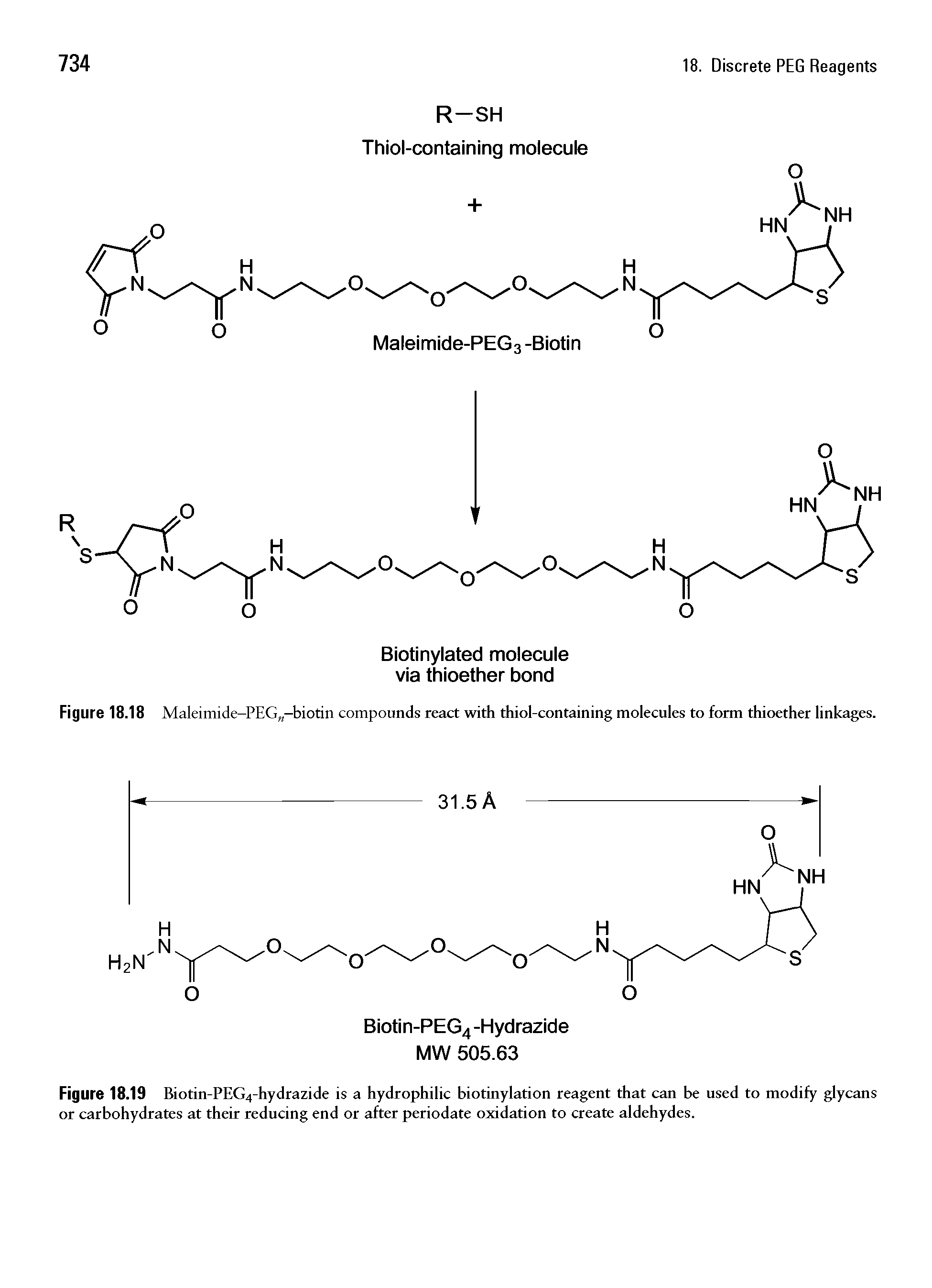 Figure 18.19 Biotin-PEG4-hydrazide is a hydrophilic biotinylation reagent that can be used to modify glycans or carbohydrates at their reducing end or after periodate oxidation to create aldehydes.