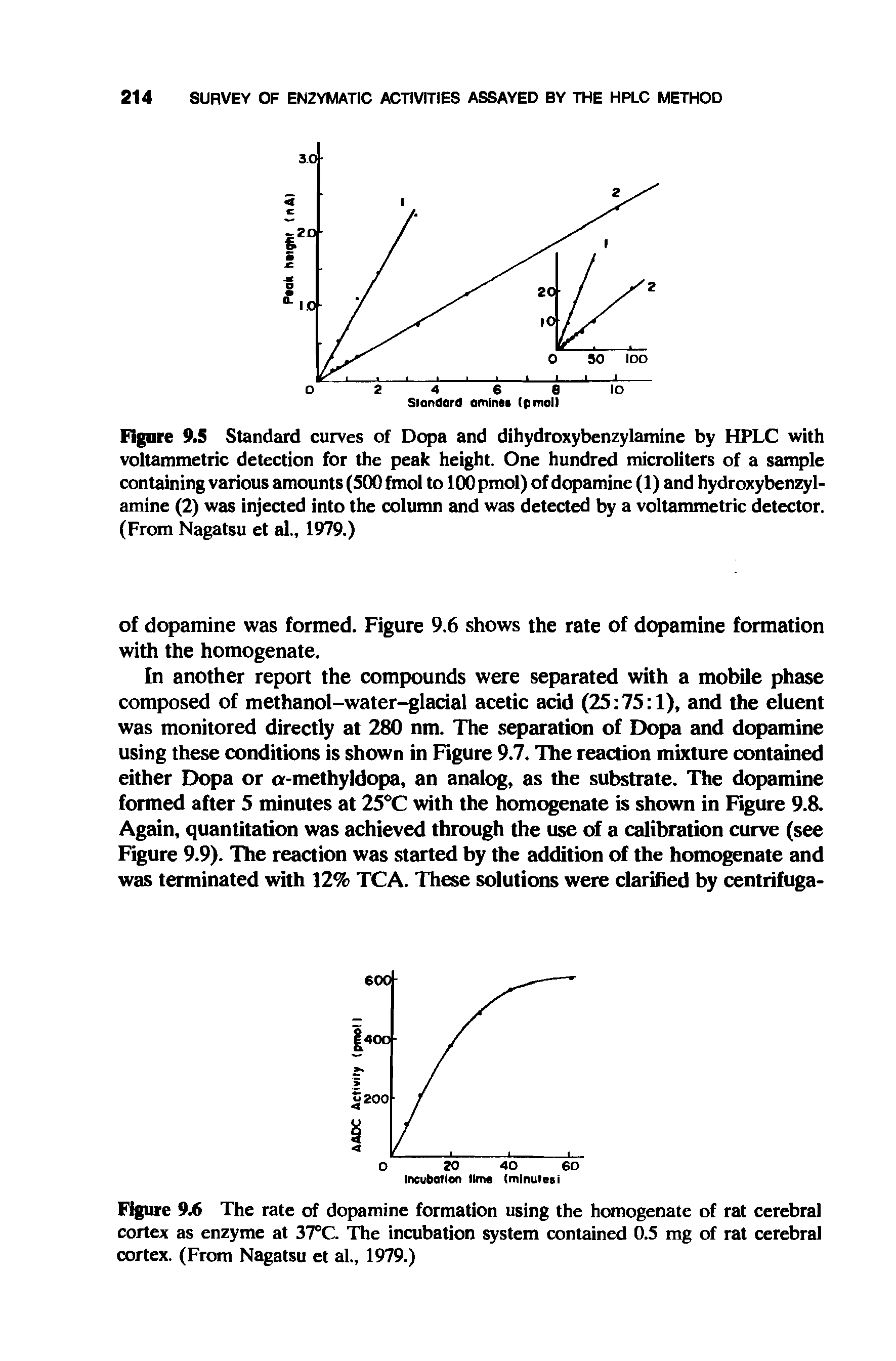 Figure 9.6 The rate of dopamine formation using the homogenate of rat cerebral cortex as enzyme at 37°C. The incubation system contained 0.5 mg of rat cerebral cortex. (From Nagatsu et al., 1979.)...