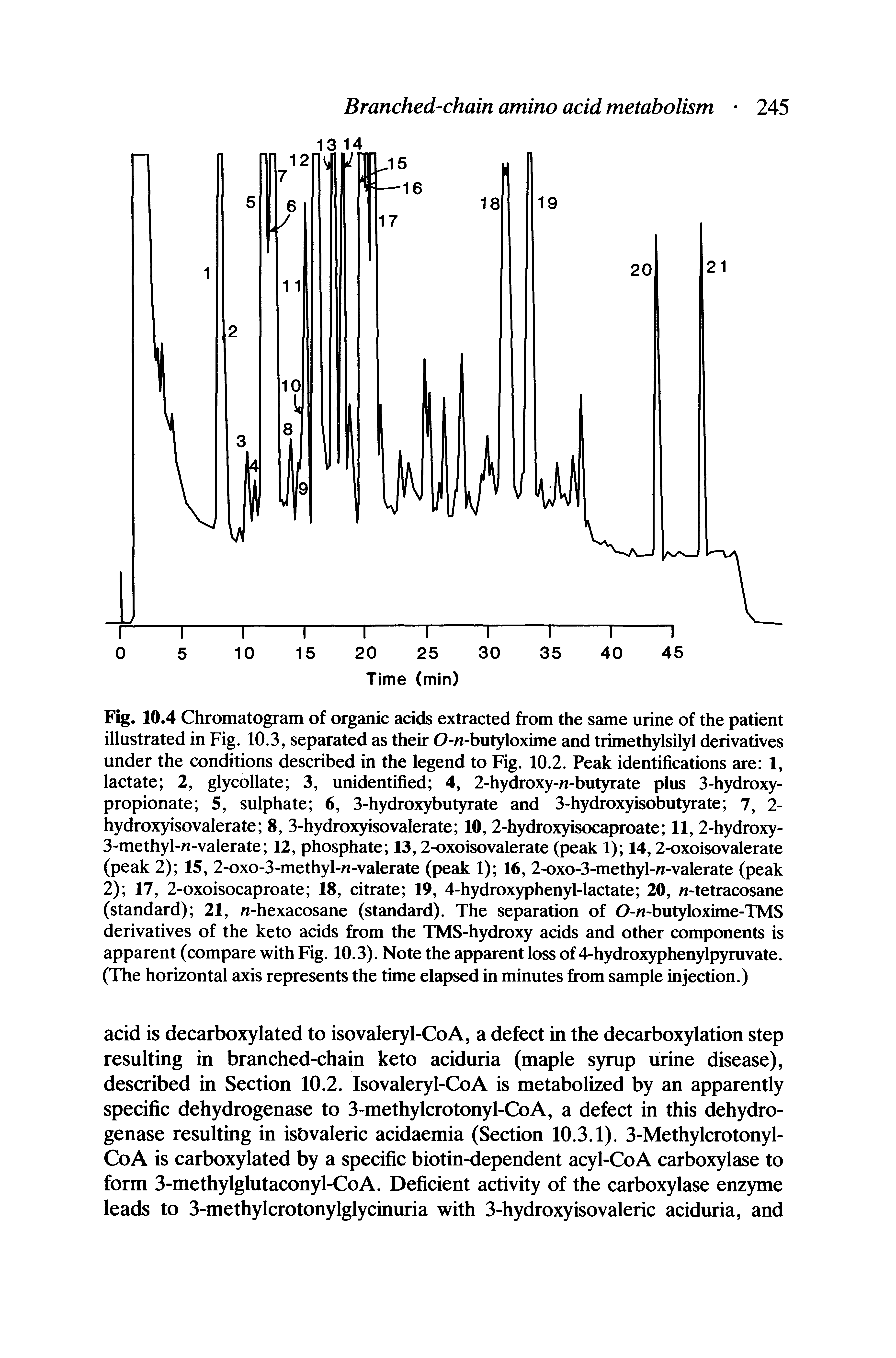 Fig. 10.4 Chromatogram of organic acids extracted from the same urine of the patient illustrated in Fig. 10.3, separated as their O-n-butyloxime and trimethylsilyl derivatives under the conditions described in the legend to Fig. 10.2. Peak identifications are 1, lactate 2, glycollate 3, unidentified 4, 2-hydroxy-n-butyrate plus 3-hydroxy-propionate 5, sulphate 6, 3-hydroxybutyrate and 3-hydroxyisobutyrate 7, 2-hydroxyisovalerate 8, 3-hydroxyisovalerate 10, 2-hydroxyisocaproate 11,2-hydroxy-3-methyl-n-valerate 12, phosphate 13,2-oxoisovalerate (peak 1) 14,2-oxoisovalerate (peak 2) 15, 2-oxo-3-methyl-/i-valerate (peak 1) 16, 2-oxo-3-methyl-n-valerate (peak 2) 17, 2-oxoisocaproate 18, citrate 19, 4-hydroxyphenyl-lactate 20, n-tetracosane (standard) 21, n-hexacosane (standard). The separation of O-n-butyloxime-TMS derivatives of the keto acids from the TMS-hydroxy acids and other components is apparent (compare with Fig. 10.3). Note the apparent loss of 4-hydroxyphenylpyruvate. (The horizontal axis represents the time elapsed in minutes from sample injection.)...
