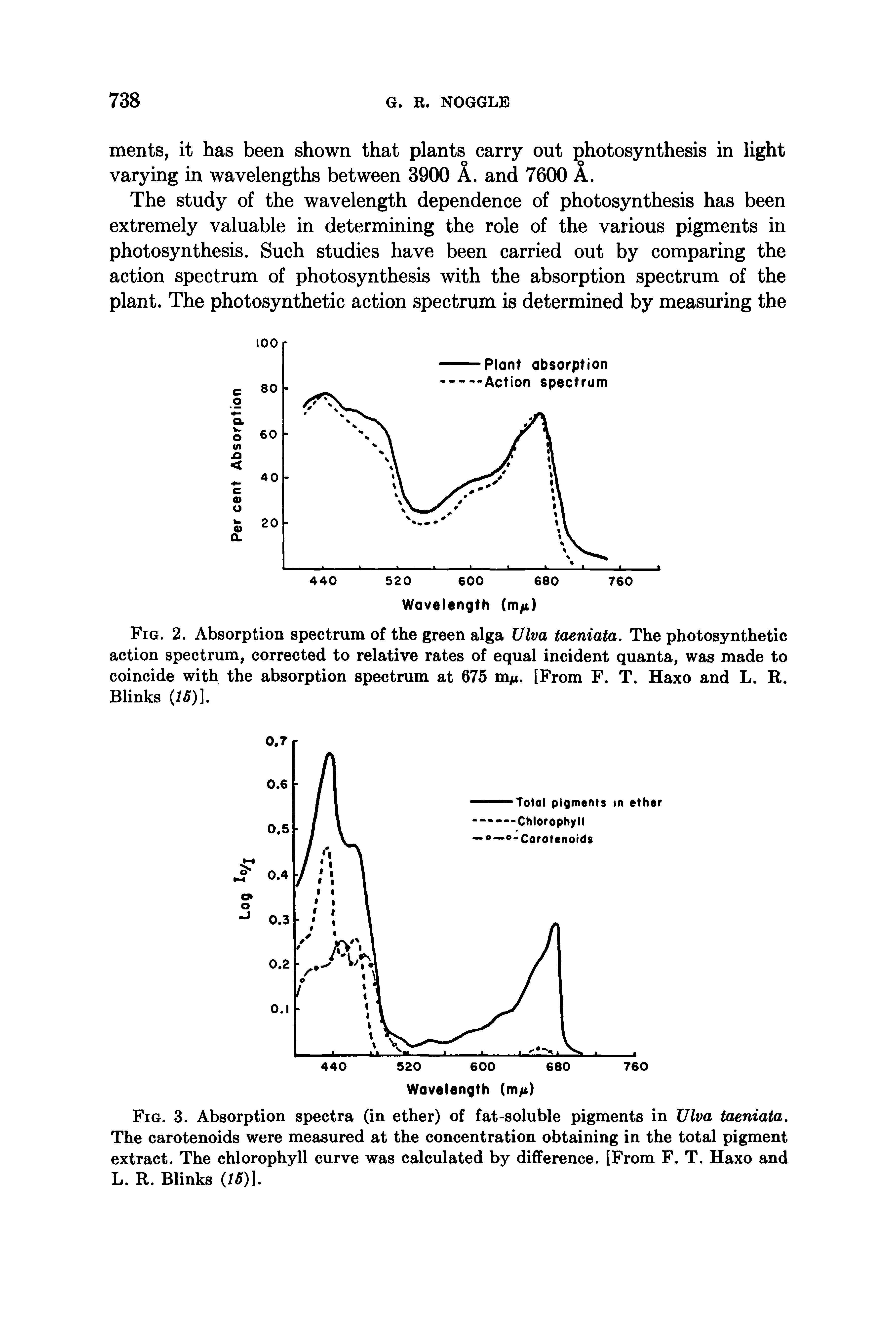 Fig. 2. Absorption spectrum of the green alga Ulva taeniata. The photosynthetic action spectrum, corrected to relative rates of equal incident quanta, was made to coincide with the absorption spectrum at 675 m/i . [From F. T. Haxo and L. R. Blinks 16)1...