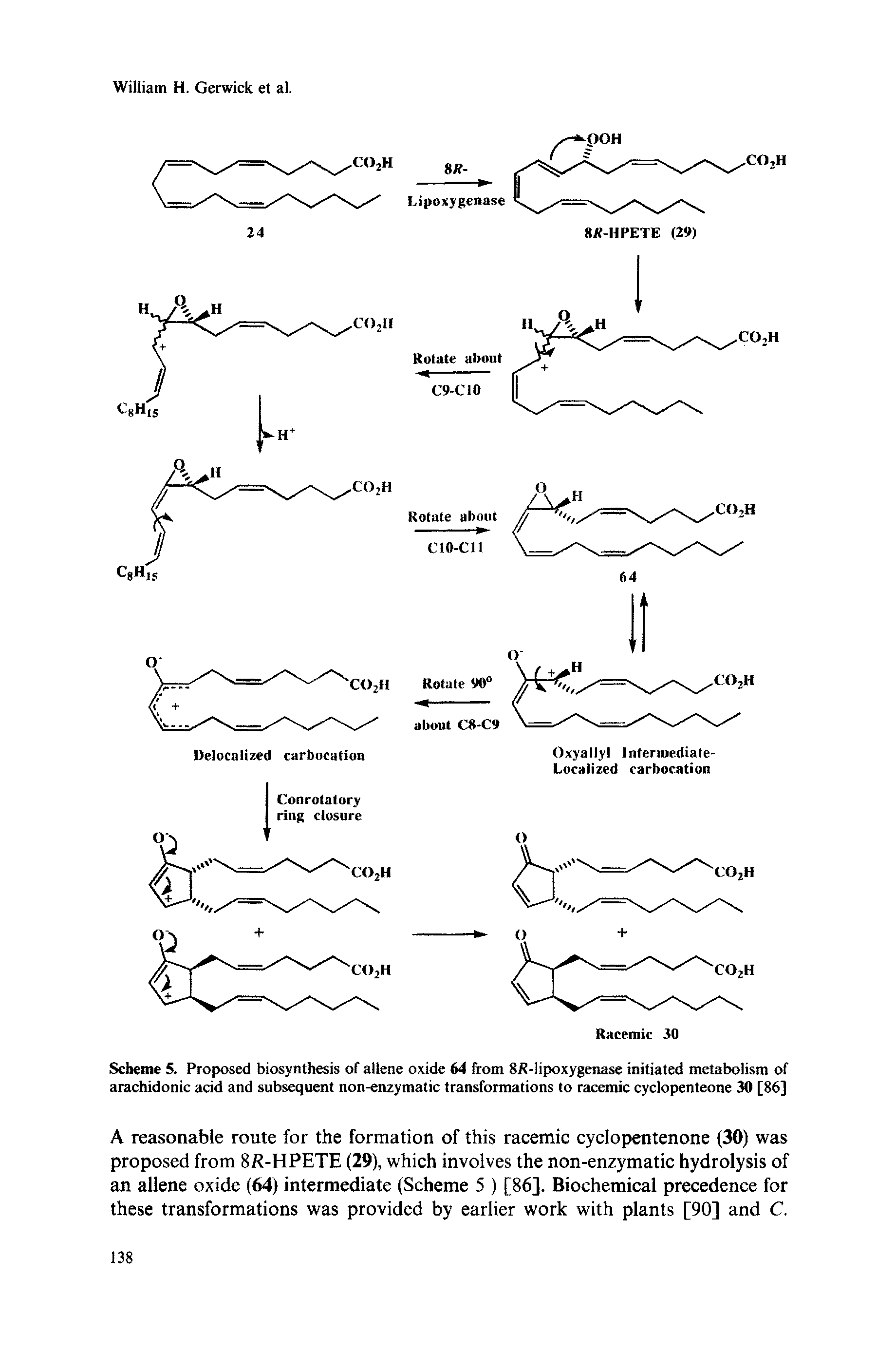 Scheme 5. Proposed biosynthesis of allene oxide 64 from 8i -lipoxygenase initiated metabolism of arachidonic acid and subsequent non-enzymatic transformations to racemic cyclopenteone 30 [86]...
