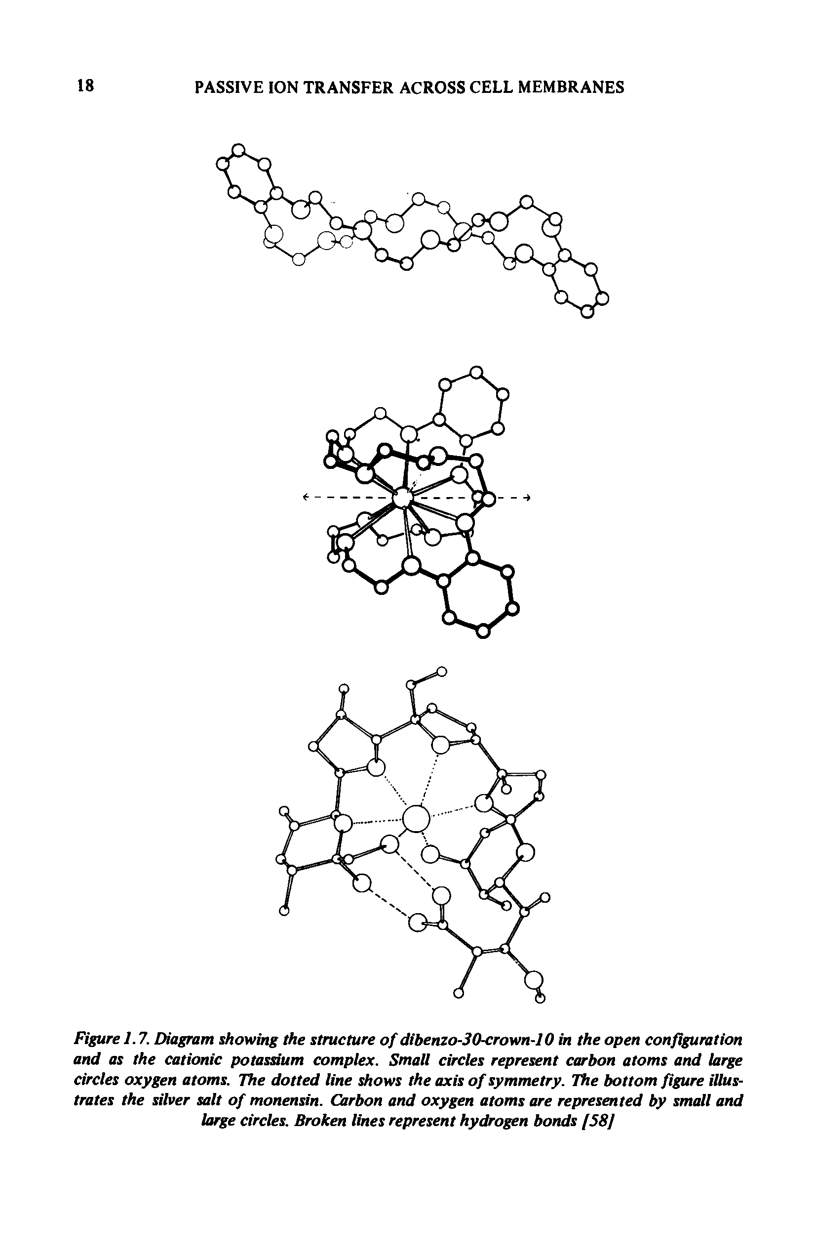 Figure 1.7. Diagram showir the structure of dibenzo-30<roym-I0 in the open configuration and as the cationic potassium complex. Small circles represent carbon atoms and large circles oxygen atoms. The dotted line shows the axis of symmetry. The bottom figure illustrates the silver salt of monensin. Carbon and oxygen atoms are represented by small and large circles. Broken lines represent hydrogen bonds [SSJ...