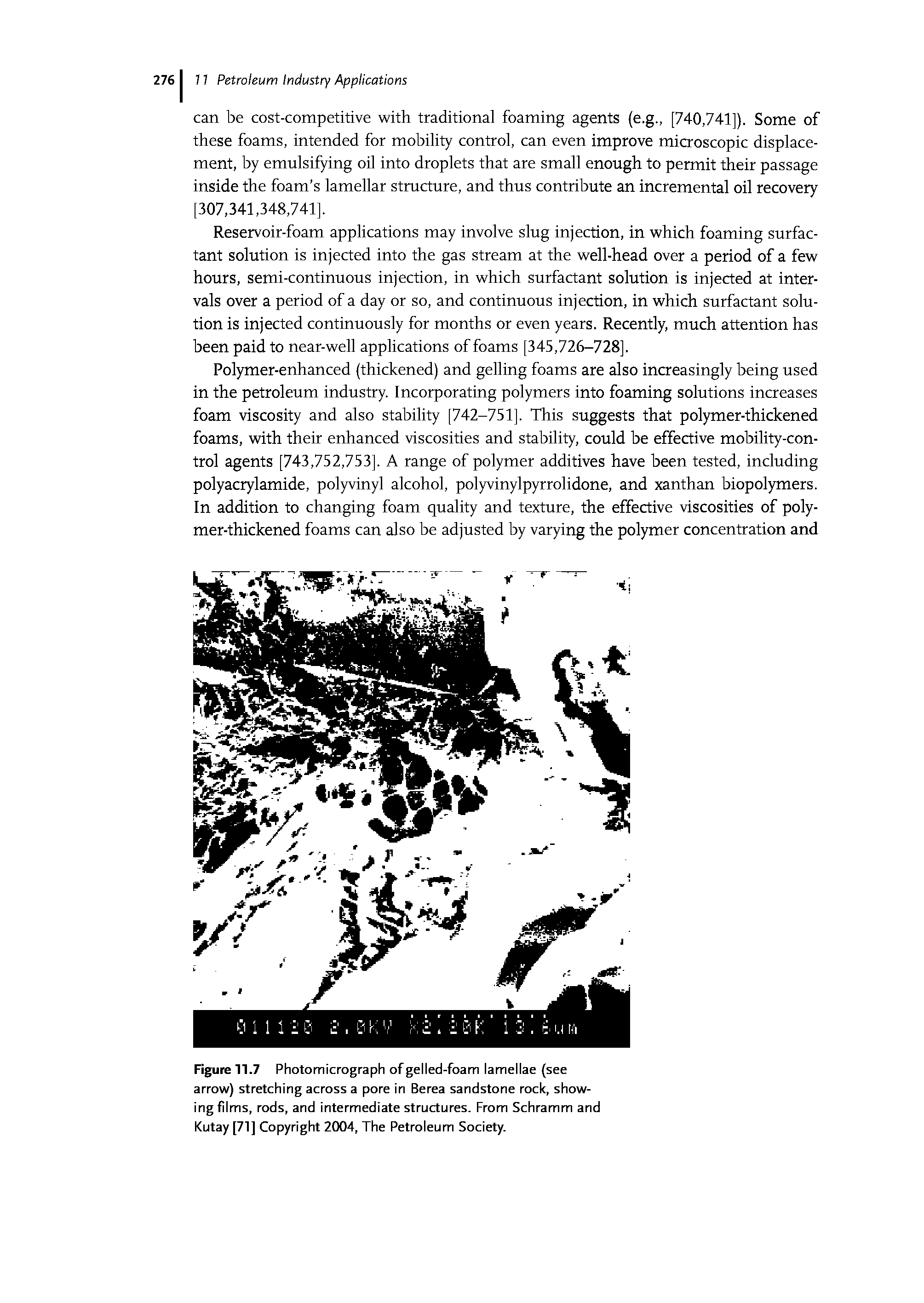 Figure 11.7 Photomicrograph of gelled-foam lamellae (see arrow) stretching across a pore in Berea sandstone rock, showing films, rods, and intermediate structures. From Schramm and Kutay [71] Copyright 2004, The Petroleum Society.