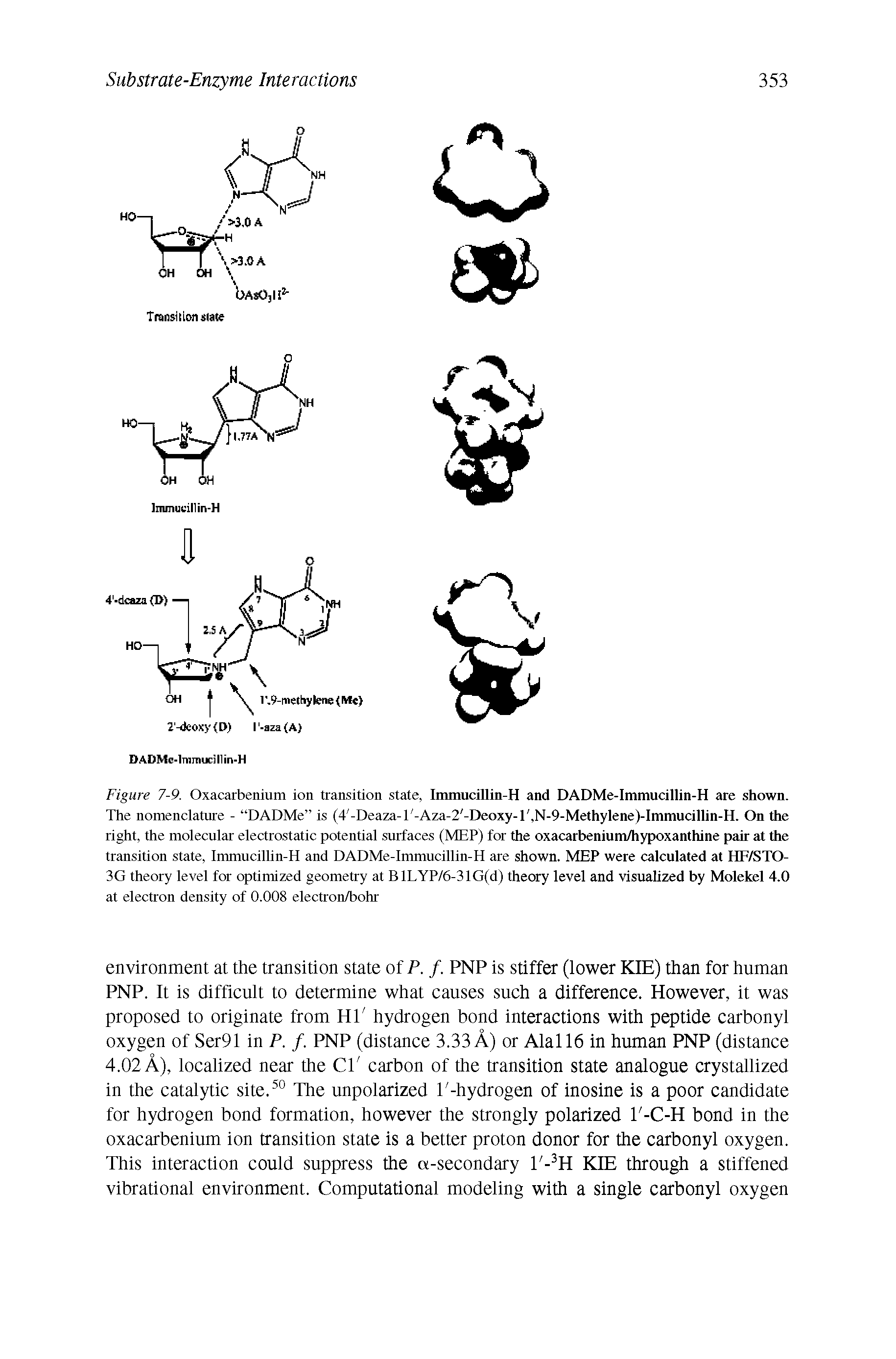 Figure 7-9. Oxacarbenium ion transition state, Immucillin-H and DADMe-Immucillin-H are shown. The nomenclature - DADMe is (4 -Deaza-l -Aza-2/-Deoxy-l/,N-9-Methylene)-Immucillin-H. On die right, the molecular electrostatic potential surfaces (MEP) for the oxacarbenium/hypoxanthine pair at die transition state, Immucillin-H and DADMe-Immucillin-H are shown. MEP were calculated at HF/STO-3G theory level for optimized geometry at BlLYP/6-31G(d) theory level and visualized by Molekel 4.0 at electron density of 0.008 electron/bohr...