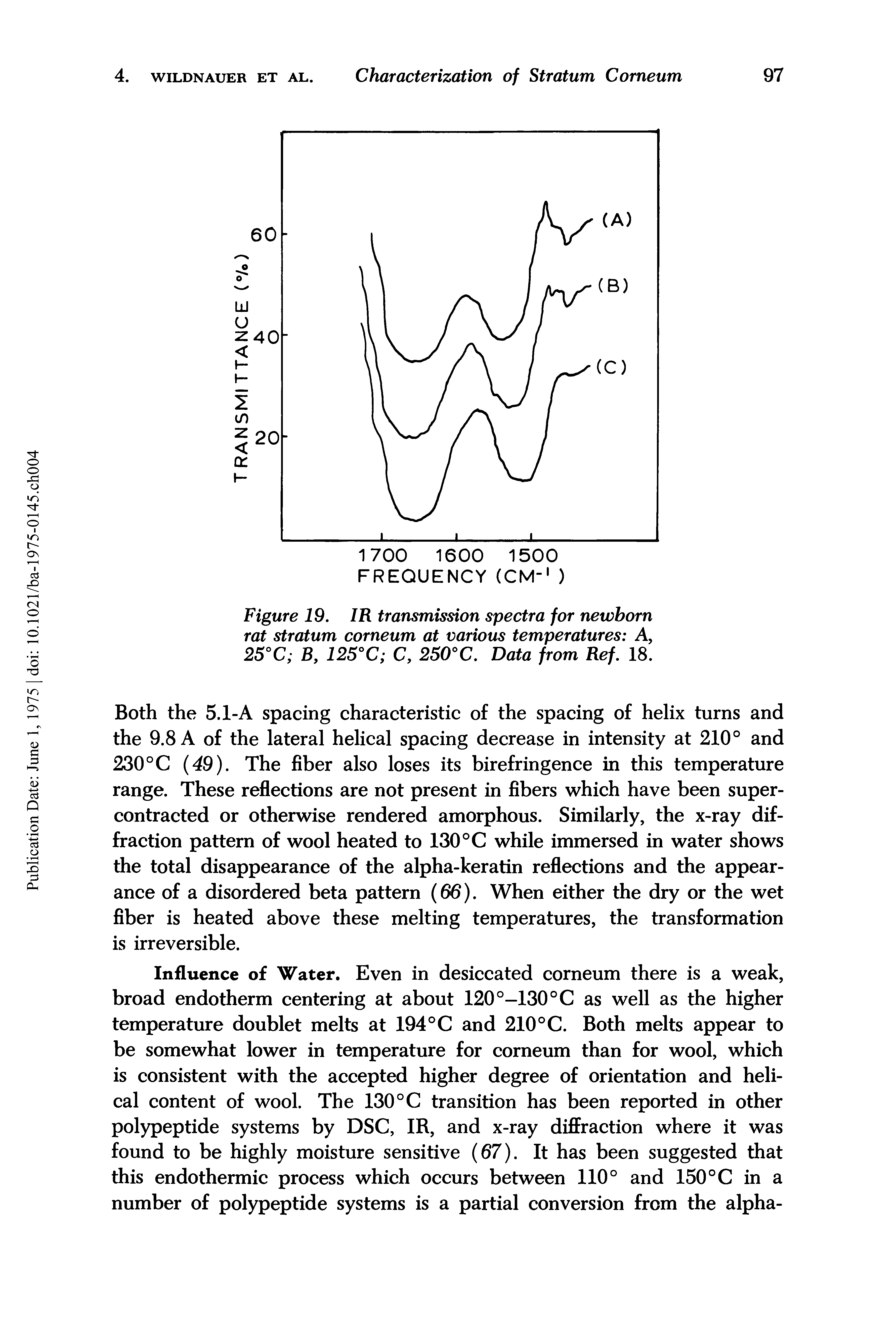 Figure 19. IR transmission spectra for newborn rat stratum corneum at various temperatures A, 25°C B, 125°C C, 250°C. Data from Ref. 18.