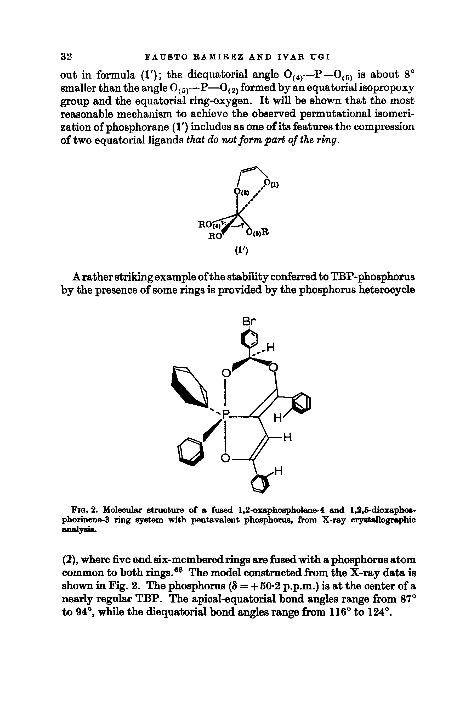 Fig. 2. Molecular structure of a fused 1,2-oxaphospholene-4 and 1,2,5-dioxaphot-phorinene-3 ring system with pentavalent phosphorus, from X-ray crystallographic analysis.