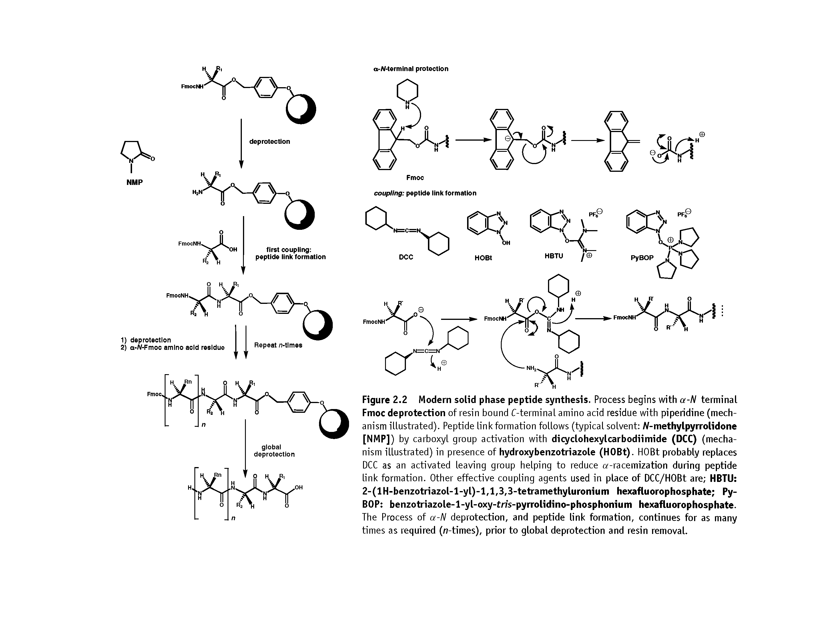 Figure 2.2 Modern solid phase peptide synthesis. Process begins with a-N terminal Fmoc deprotection of resin bound C-terminal amino acid residue with piperidine (mechanism illustrated). Peptide link formation follows (typical solvent Al-methylpyrrolidone [NMP]) by carboxyl group activation with dicyclohexylcarbodiimide (DCC) (mechanism illustrated) in presence of hydroxybenzotriazole (HOBt). HOBt probably replaces DCC as an activated leaving group helping to reduce a-racemization during peptide link formation. Other effective coupling agents used in place of DCC/HOBt are HBTU 2-(lH-benzotriazol-l-yl)-l,l,3,3-tetramethyluronium hexafluorophosphate Py-BOP benzotriazole-l-yl-oxy-tns-pyrrolidino-phosphonium hexafluorophosphate. The Process of a-N deprotection, and peptide link formation, continues for as many times as required (n-times), prior to global deprotection and resin removal.
