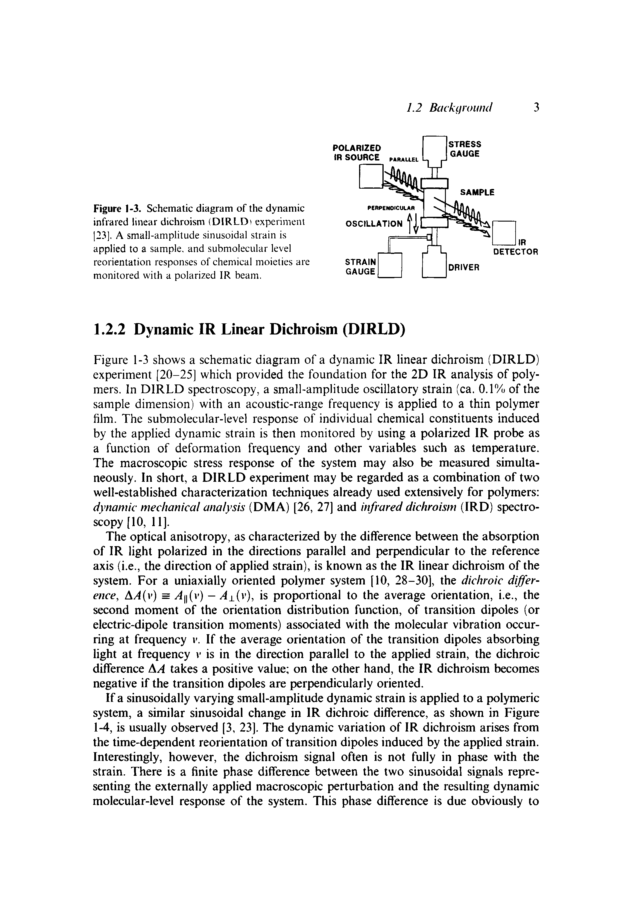 Figure 1-3. Schematic diagram of the dynamic infrared linear dichroism (DIRLDi experiment 23], A small-amplitude sinusoidal strain is applied to a sample, and submolecular level reorientation responses of chemical moieties are monitored with a polarized IR beam.