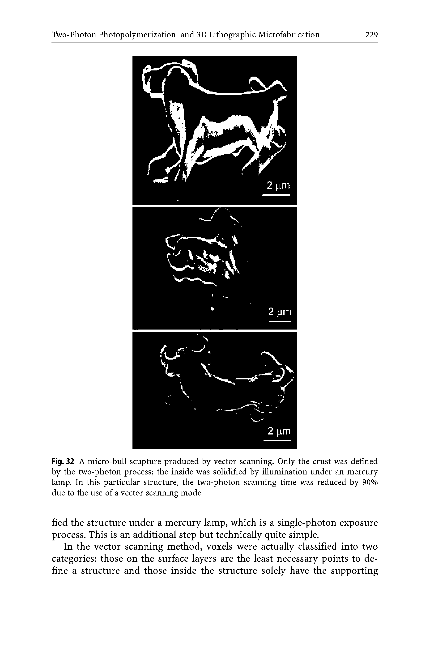 Fig. 32 A micro-bull scupture produced by vector scanning. Only the crust was defined by the two-photon process the inside was solidified by illumination under an mercury lamp. In this particular structure, the two-photon scanning time was reduced by 90% due to the use of a vector scanning mode...
