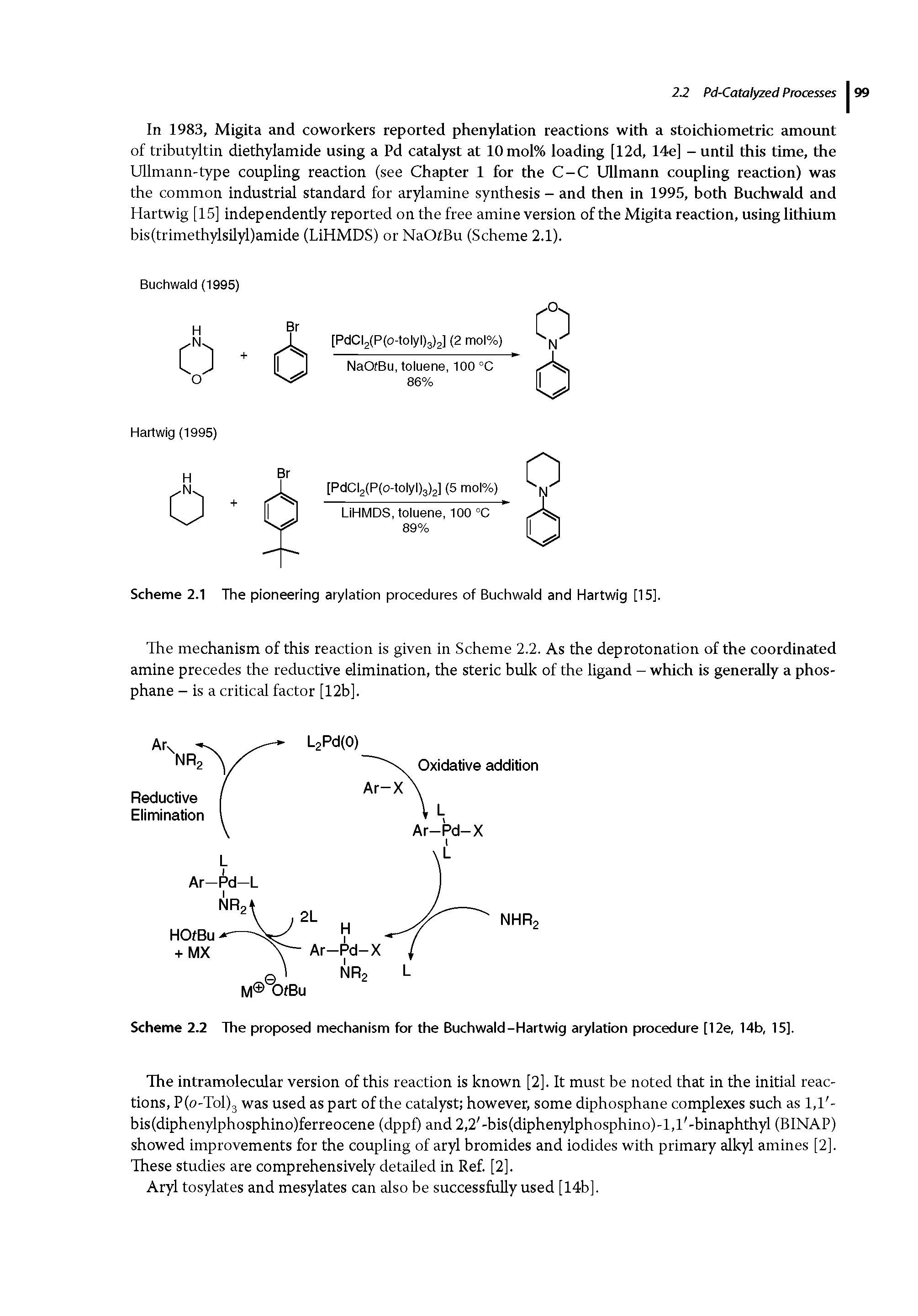 Scheme 2.2 The proposed mechanism for the Buchwald-Hartwig arylation procedure [12e, 14b, 15].