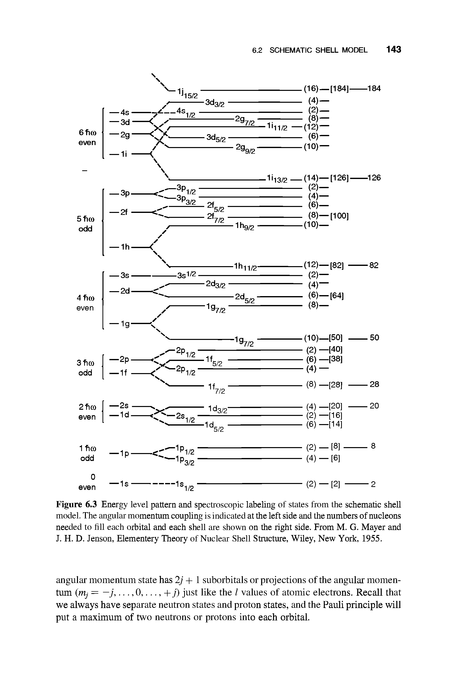 Figure 6.3 Energy level pattern and spectroscopic labeling of states from the schematic shell model. The angular momentum coupling is indicated at the left side and the numbers of nucleons needed to fill each orbital and each shell are shown on the right side. From M. G. Mayer and J. H. D. Jenson, Elementery Theory of Nuclear Shell Structure, Wiley, New York, 1955.