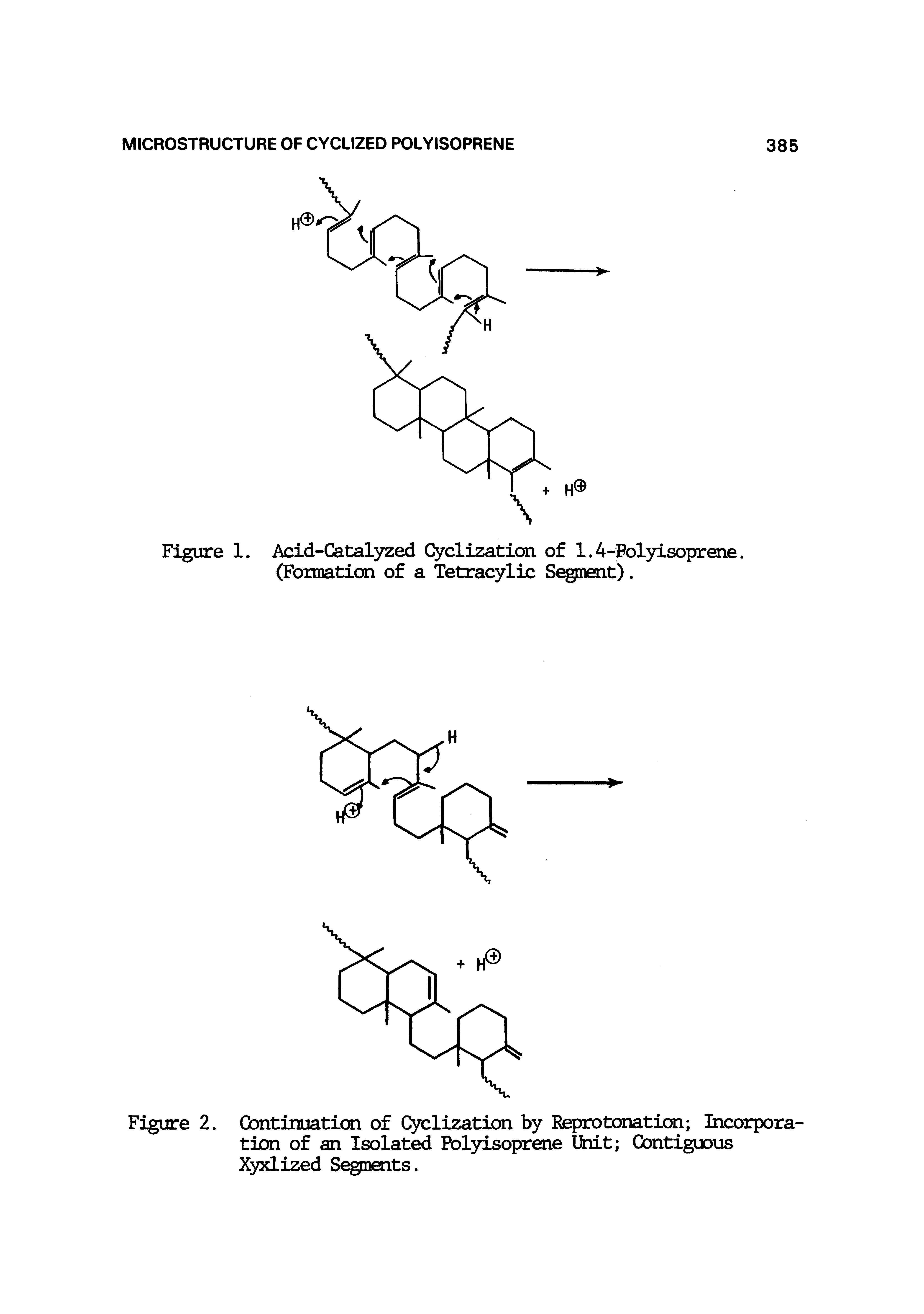 Figure 1. Acid-Catalyzed Cyclization of 1.4-Polyisoprene. (Formation of a Tetracylic S nent).