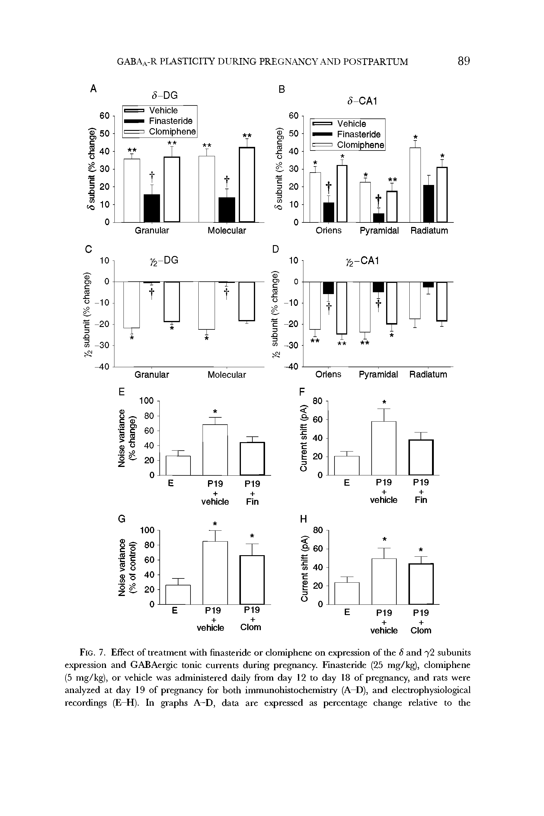 Fig. 7. Effect of treatment with finasteride or clomiphene on expression of the 6 and 72 subunits expression and GABAergic tonic currents during pregnancy. Finasteride (25 mg/kg), clomiphene (5 mg/kg), or vehicle was administered daily from day 12 to day 18 of pregnancy, and rats were analyzed at day 19 of pregnancy for both immunohistochemistry (A—D), and electrophysiological recordings (E—H). In graphs A—D, data are expressed as percentage change relative to the...