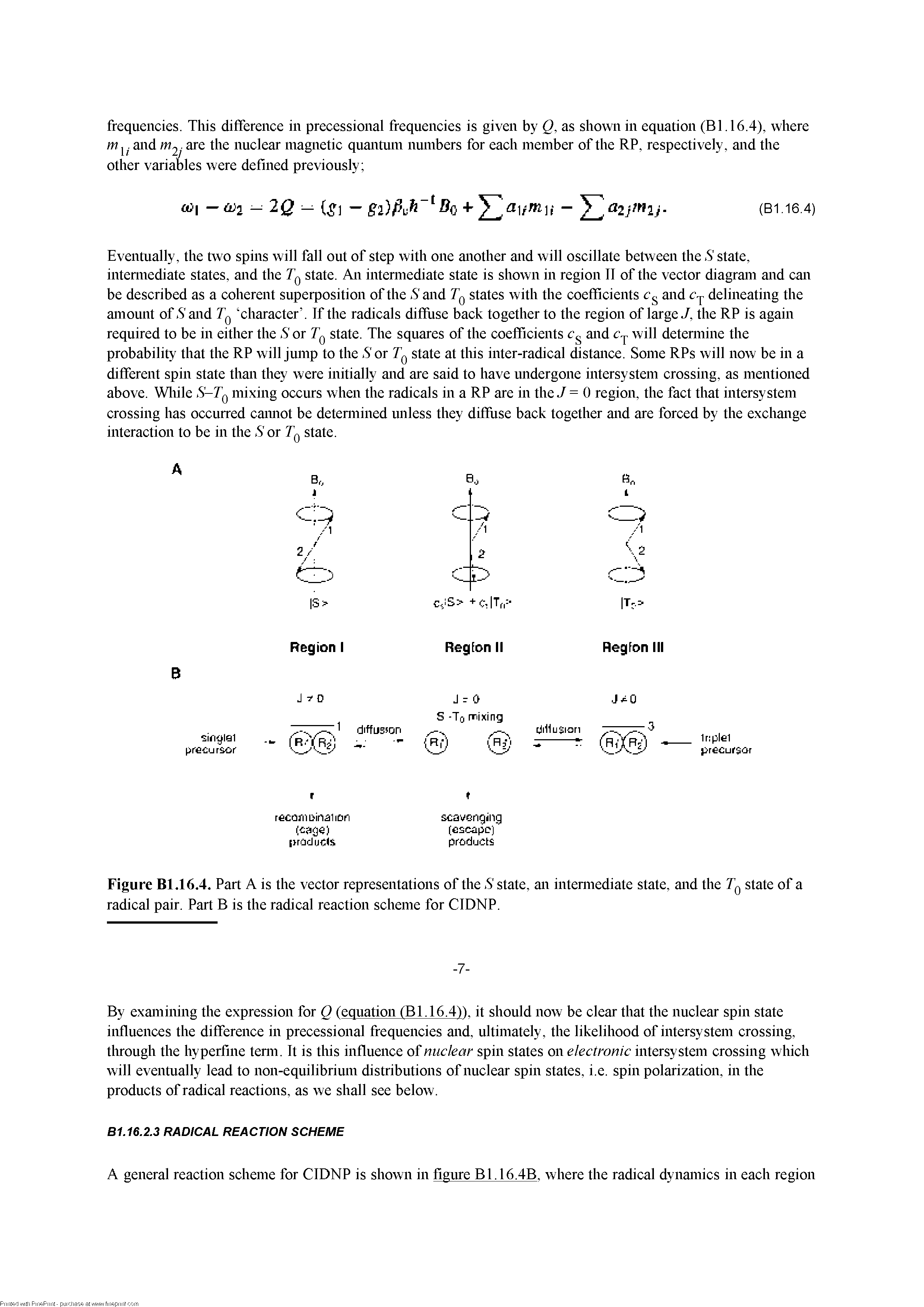 Figure Bl.16.4. Part A is the vector representations of the. S state, an intennediate state, and the Jq state of a radical pair. Part B is the radical reaction scheme for CIDNP.