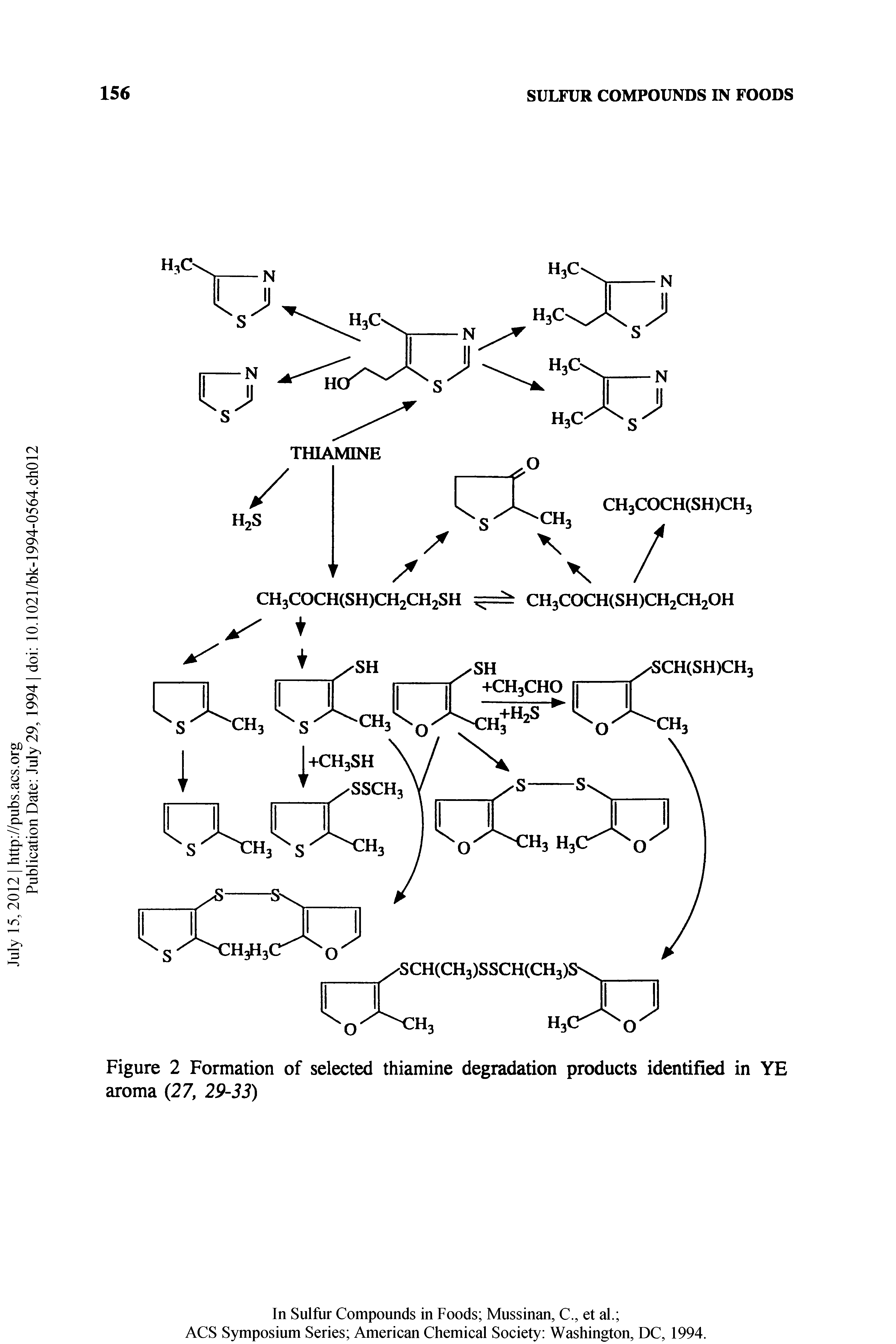 Figure 2 Formation of selected thiamine degradation products identified in YE aroma (27, 29-33)...