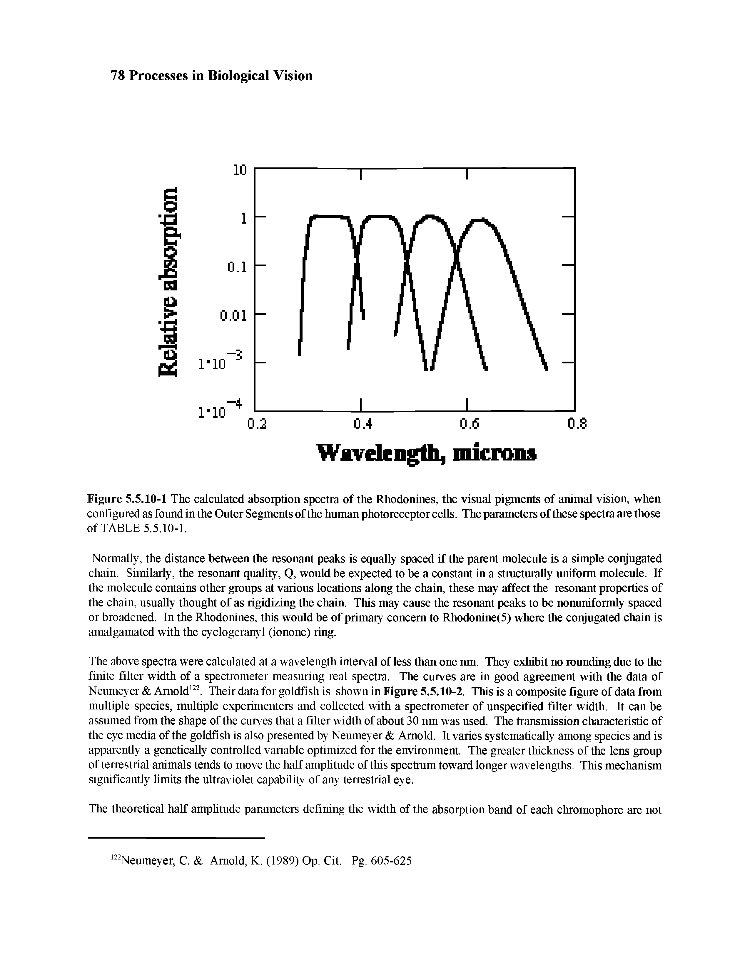 Figure 5.5.10-1 The calculated absorption spectra of the Rhodonines, the visual pigments of animal vision, when configured as found in the Outer Segments of the human photoreceptor cells. The parameters of these spectra are those of TABLE 5.5.10-1.