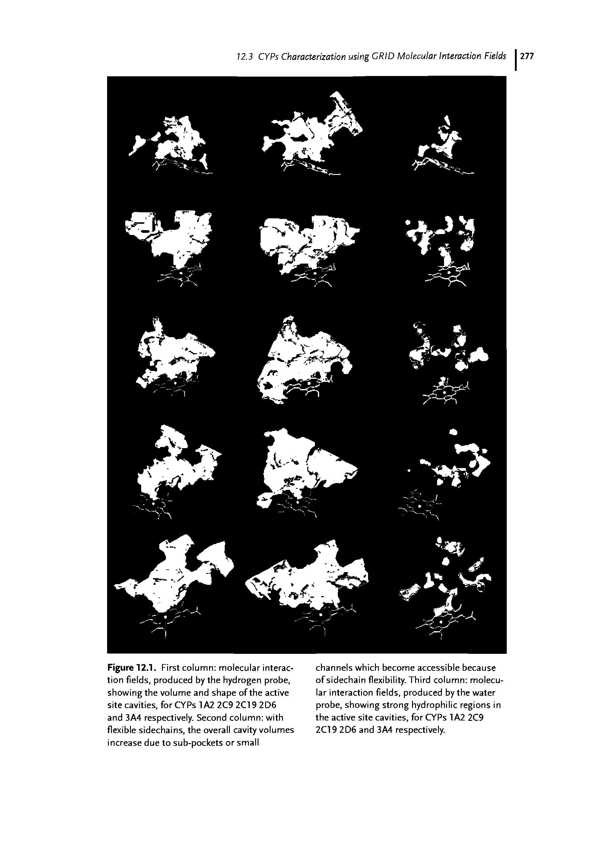 Figure 12.1. First column molecular interaction fields, produced by the hydrogen probe, showing the volume and shape of the active site cavities, for CYPs 1A2 2C9 2C19 2D6 and 3A4 respectively. Second column with flexible sidechains, the overall cavity volumes increase due to sub-pockets or small...