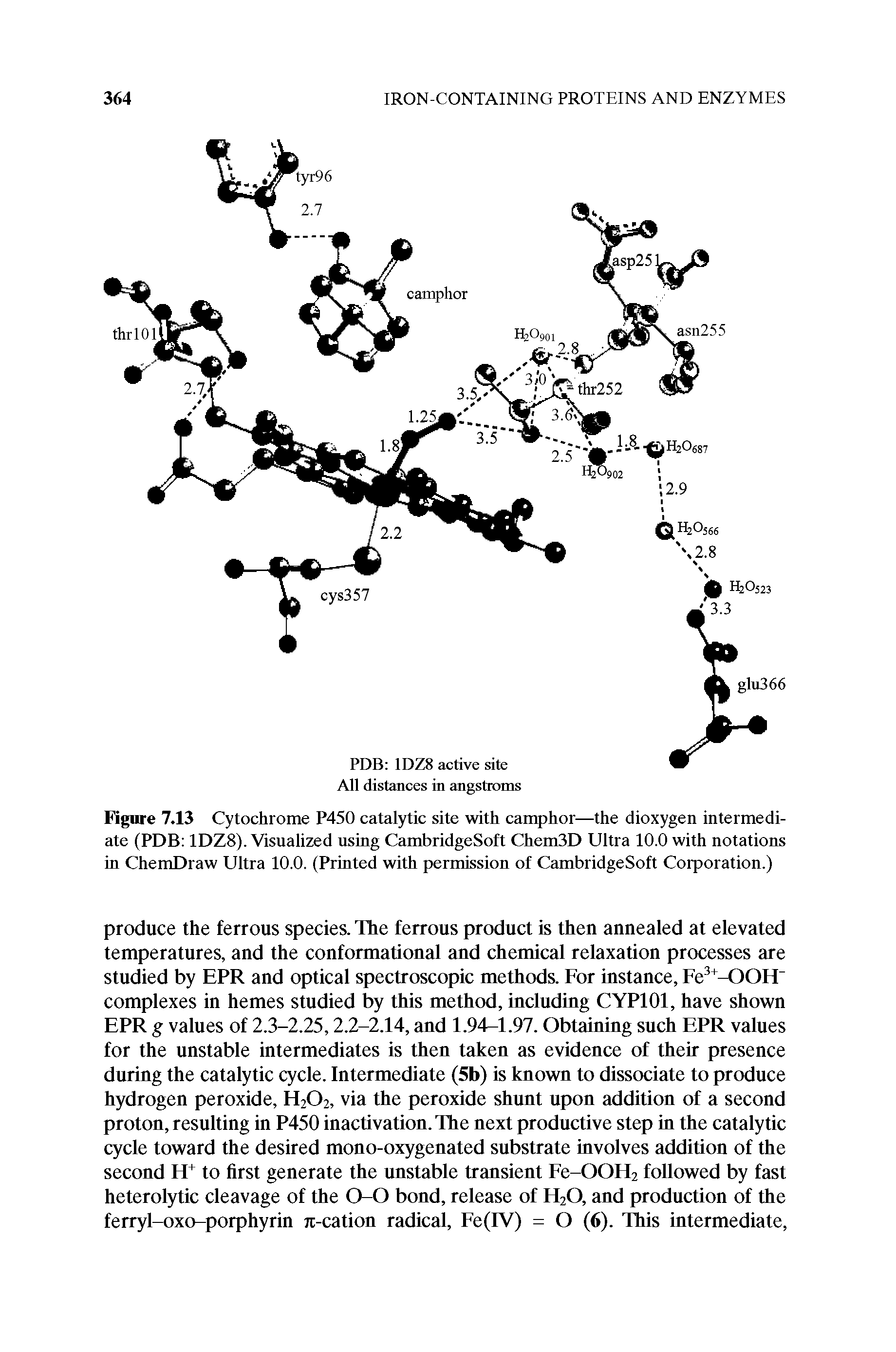 Figure 7.13 Cytochrome P450 catalytic site with camphor—the dioxygen intermediate (PDB 1DZ8). Visnalized using CambridgeSoft Chem3D Ultra 10.0 with notations in ChemDraw Ultra 10.0. (Printed with permission of CambridgeSoft Corporation.)...