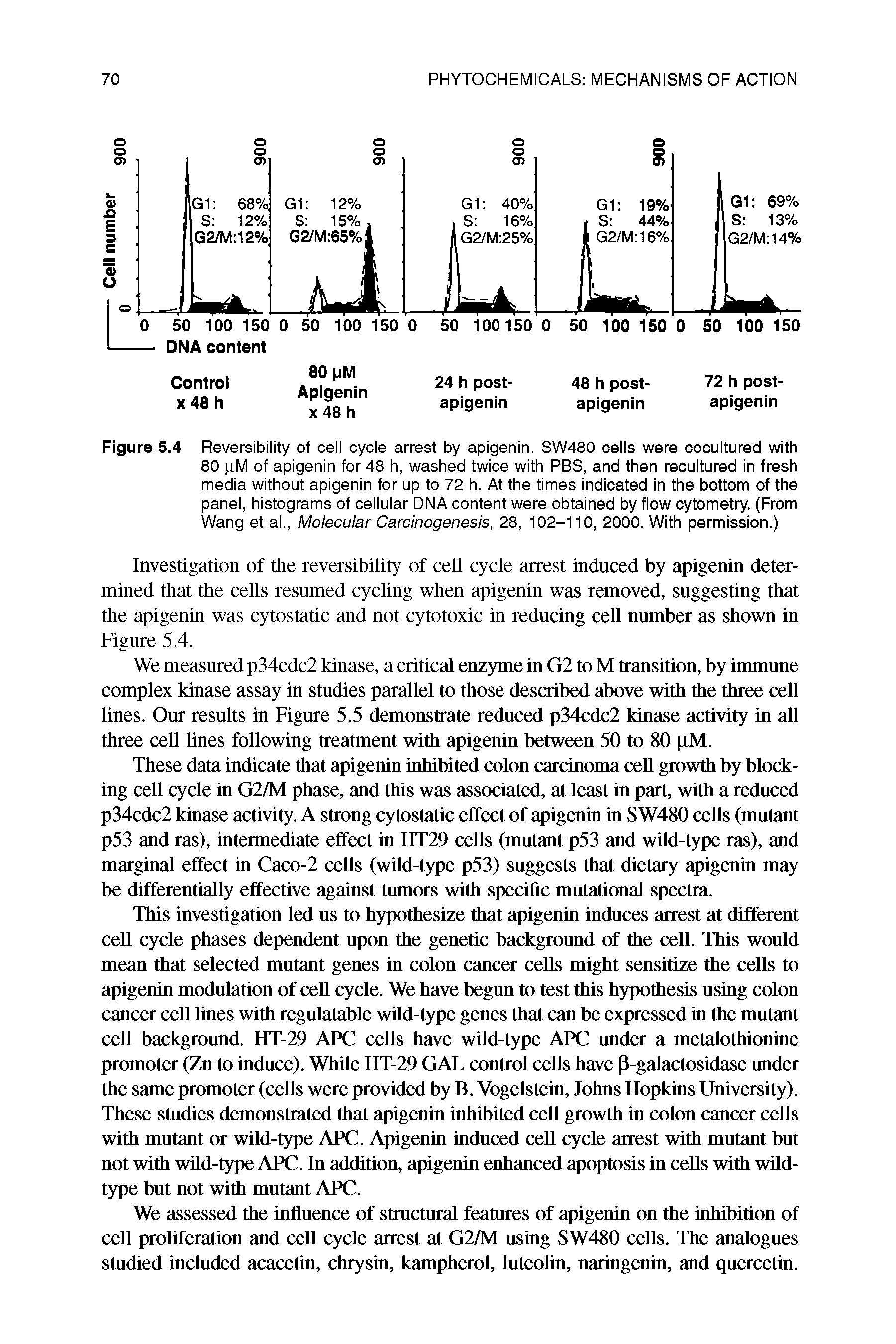 Figure 5.4 Reversibility of cell cycle arrest by apigenin. SW480 cells were cocultured with 80 pM of apigenin for 48 h, washed twice with PBS, and then recultured in fresh media without apigenin for up to 72 h. At the times indicated in the bottom of the panel, histograms of cellular DNA content were obtained by flow cytometry. (From Wang et al.. Molecular Carcinogenesis, 28, 102-110, 2000. With permission.)...