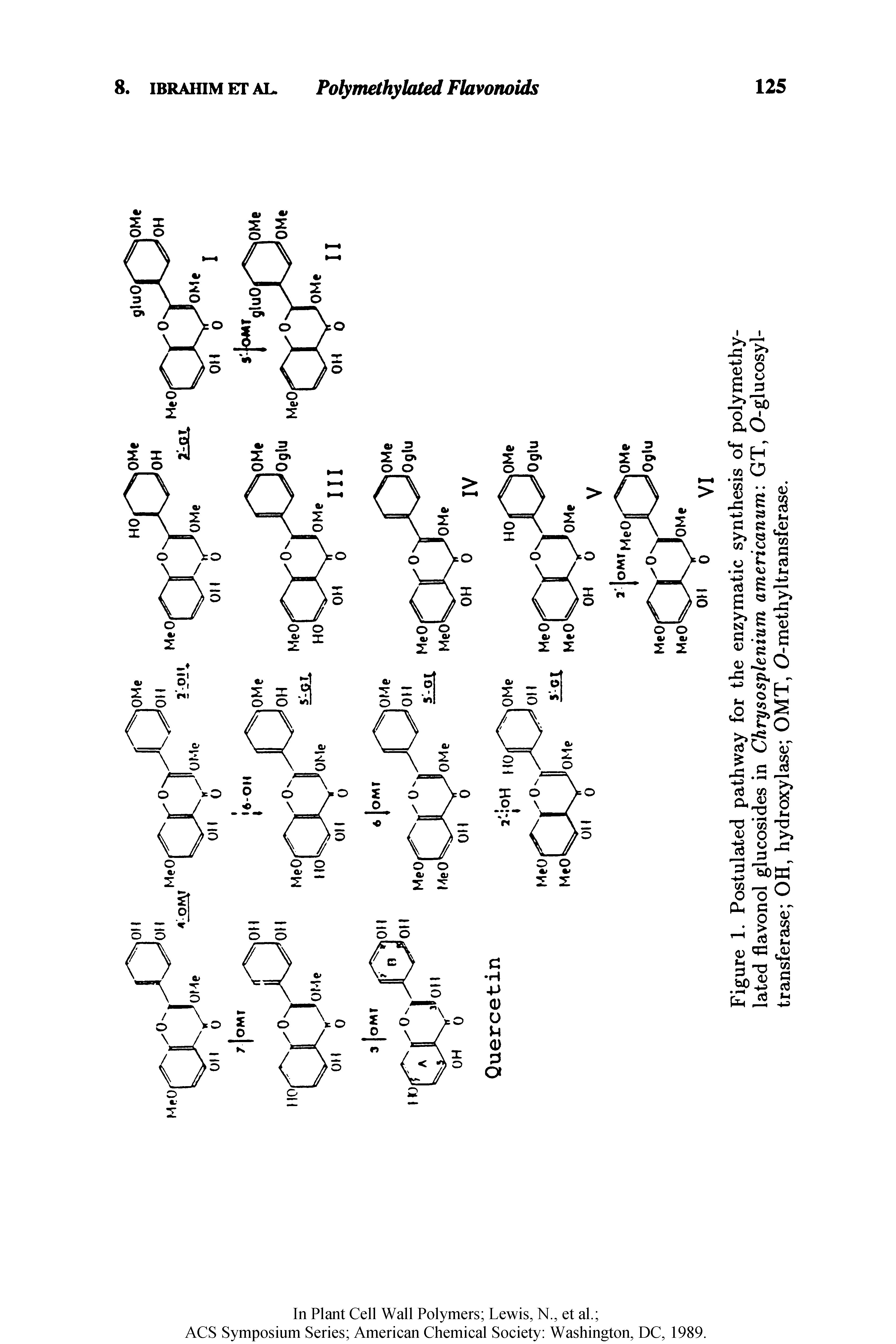 Figure 1. Postulated pathway for the enzymatic synthesis of polymethylated flavonol glucosides in Chrysosplenium americanum GT, O-glucosyl-transferase OH, hydroxylase OMT, O-methyl transferase.