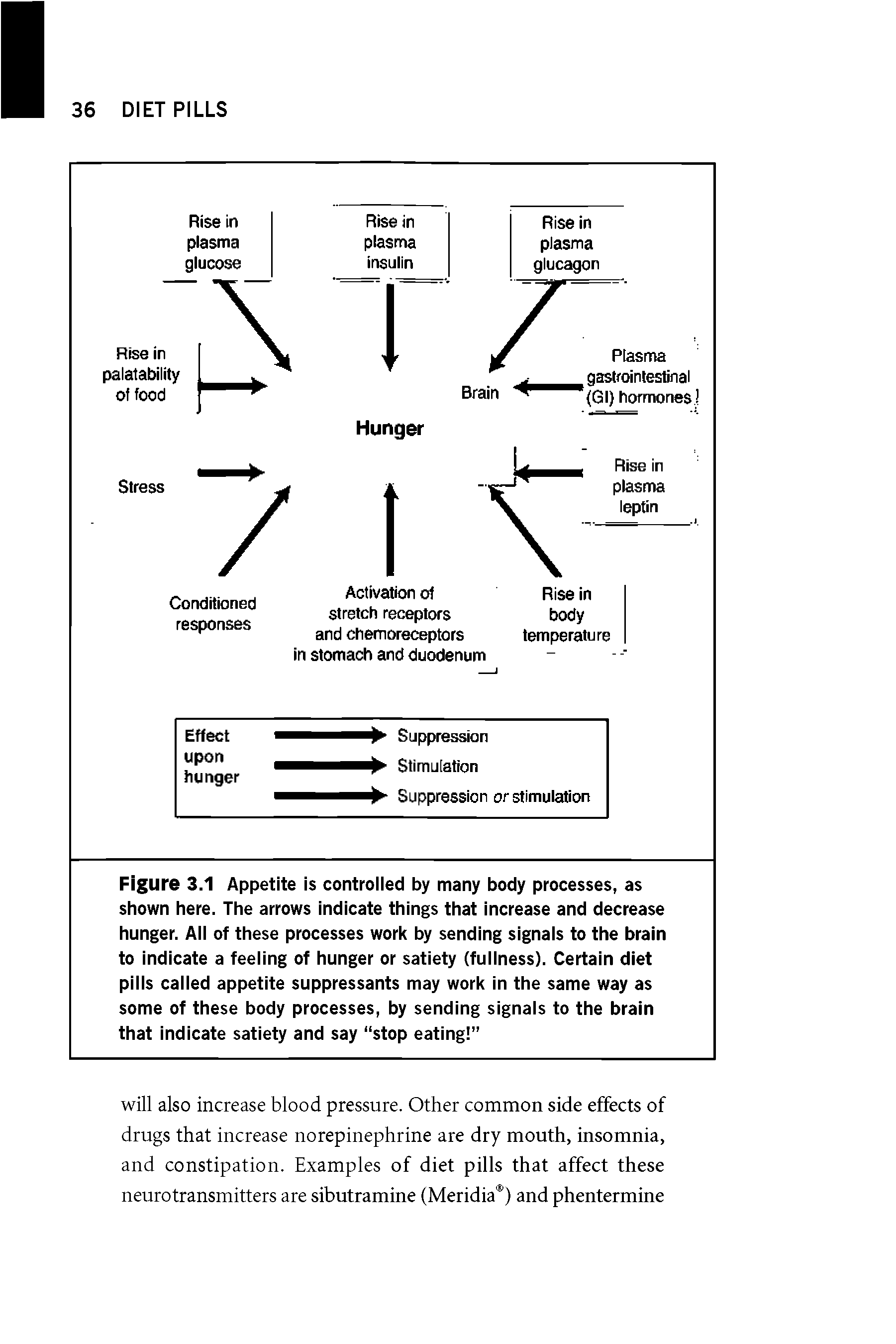 Figure 3.1 Appetite is controlled by many body processes, as shown here. The arrows indicate things that increase and decrease hunger. All of these processes work by sending signals to the brain to indicate a feeling of hunger or satiety (fullness). Certain diet pills called appetite suppressants may work in the same way as some of these body processes, by sending signals to the brain that indicate satiety and say stop eating ...