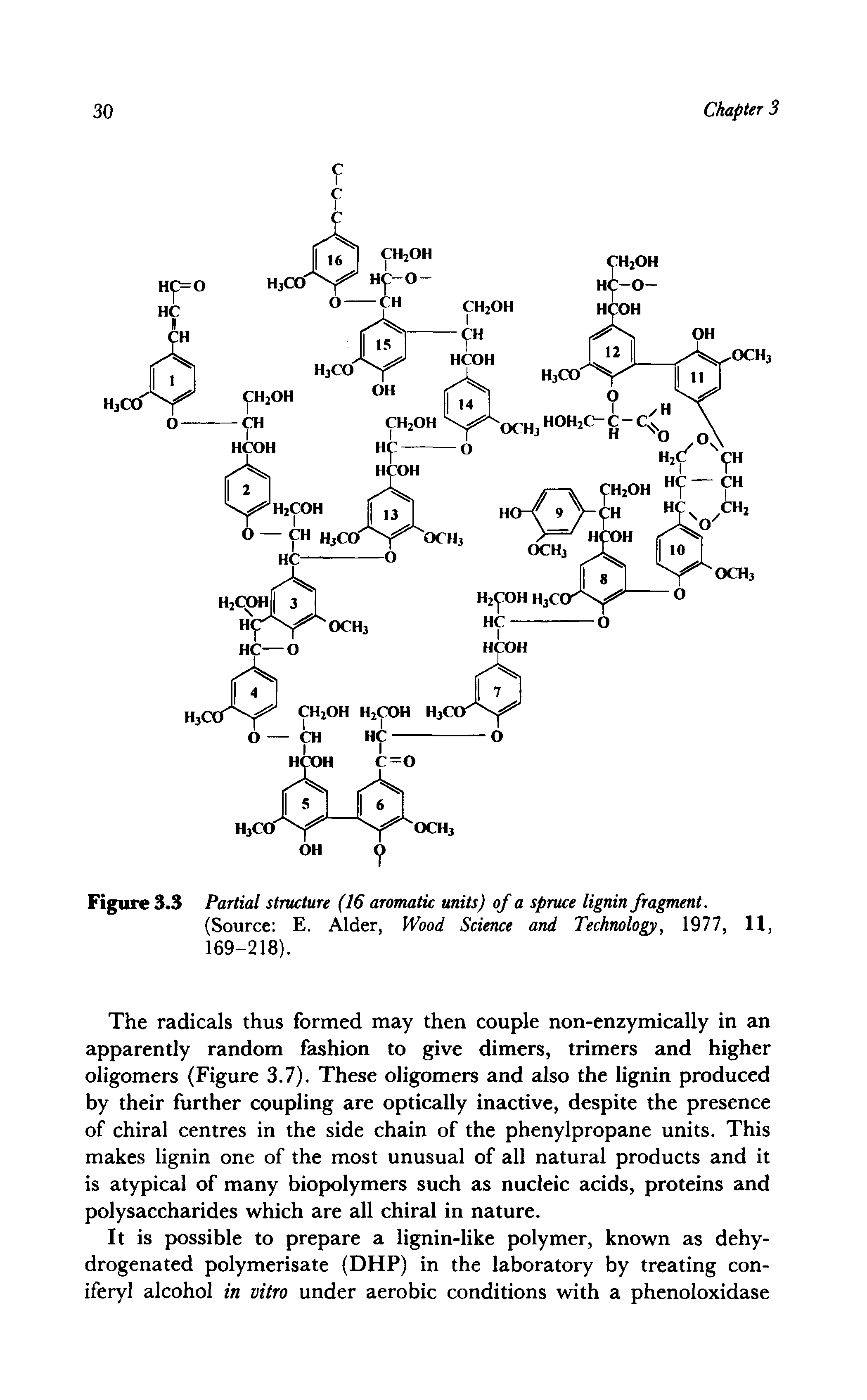 Figure 3.3 Partial structure (16 aromatic units) of a spruce lignin fragment.