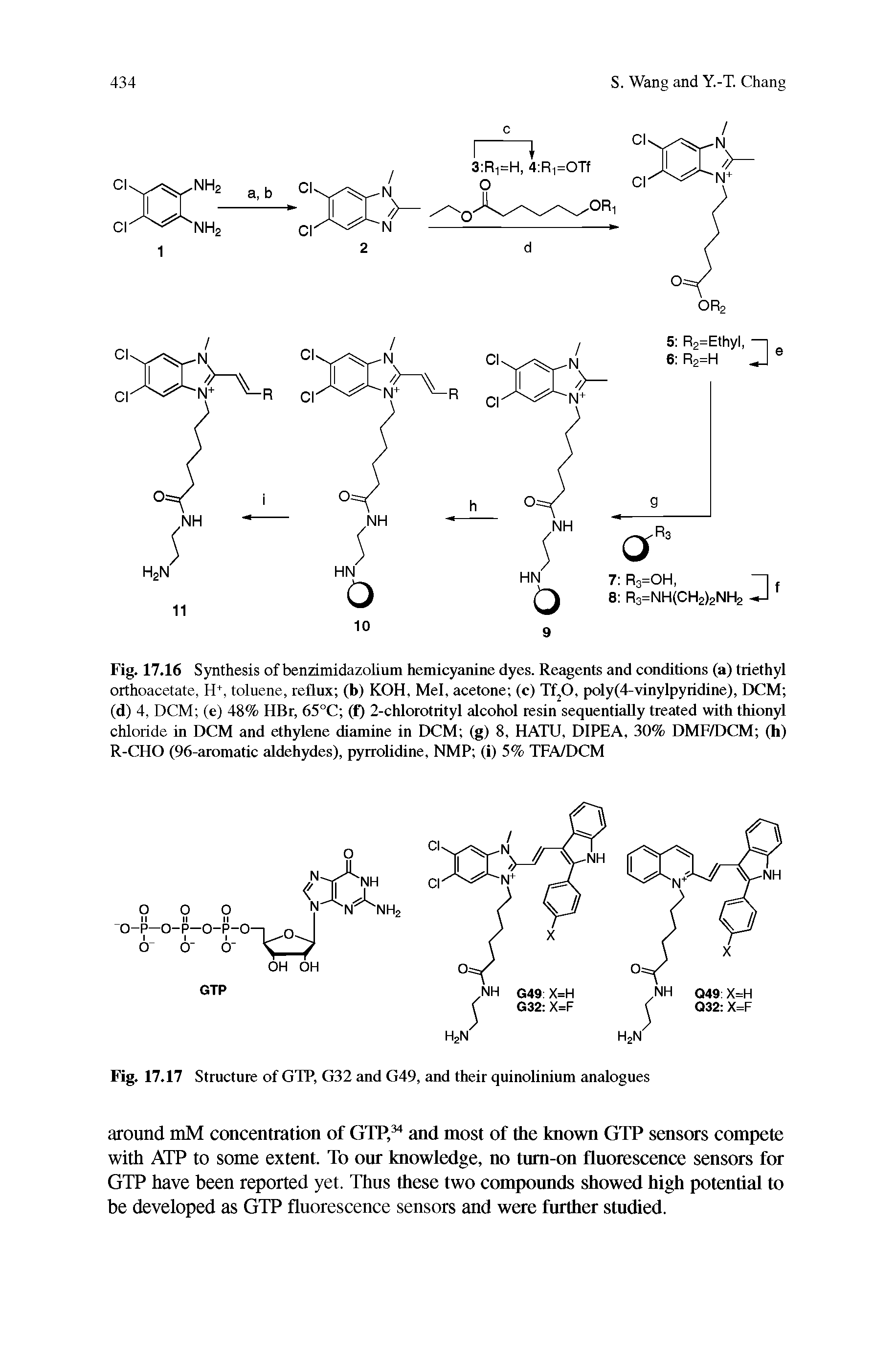Fig. 17.16 Synthesis of benzimidazolium hemicyanine dyes. Reagents and conditions (a) triethyl orthoacetate, H+, toluene, reflux (b) KOH, Mel, acetone (c) Tf20, poly(4-vinylpyridine), DCM (d) 4, DCM (e) 48% HBr, 65°C (f) 2-chlorotrityl alcohol resin sequentially treated with thionyl chloride in DCM and ethylene diamine in DCM (g) 8, HATU, DIPEA, 30% DMF/DCM (h) R-CHO (96-aromatic aldehydes), pyrrolidine, NMP (i) 5% TFA/DCM...