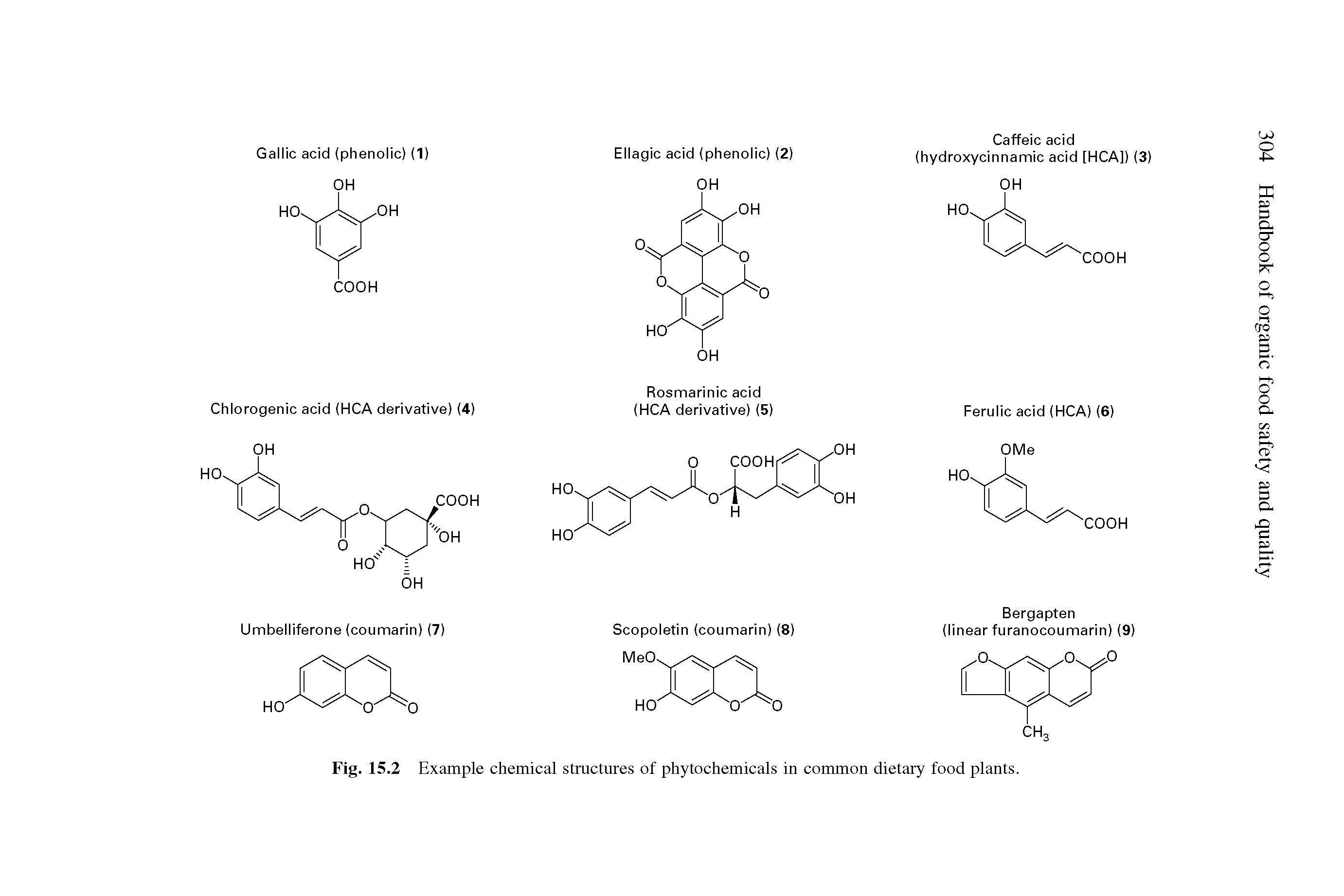 Fig. 15.2 Example chemical structures of phytochemicals in common dietary food plants.