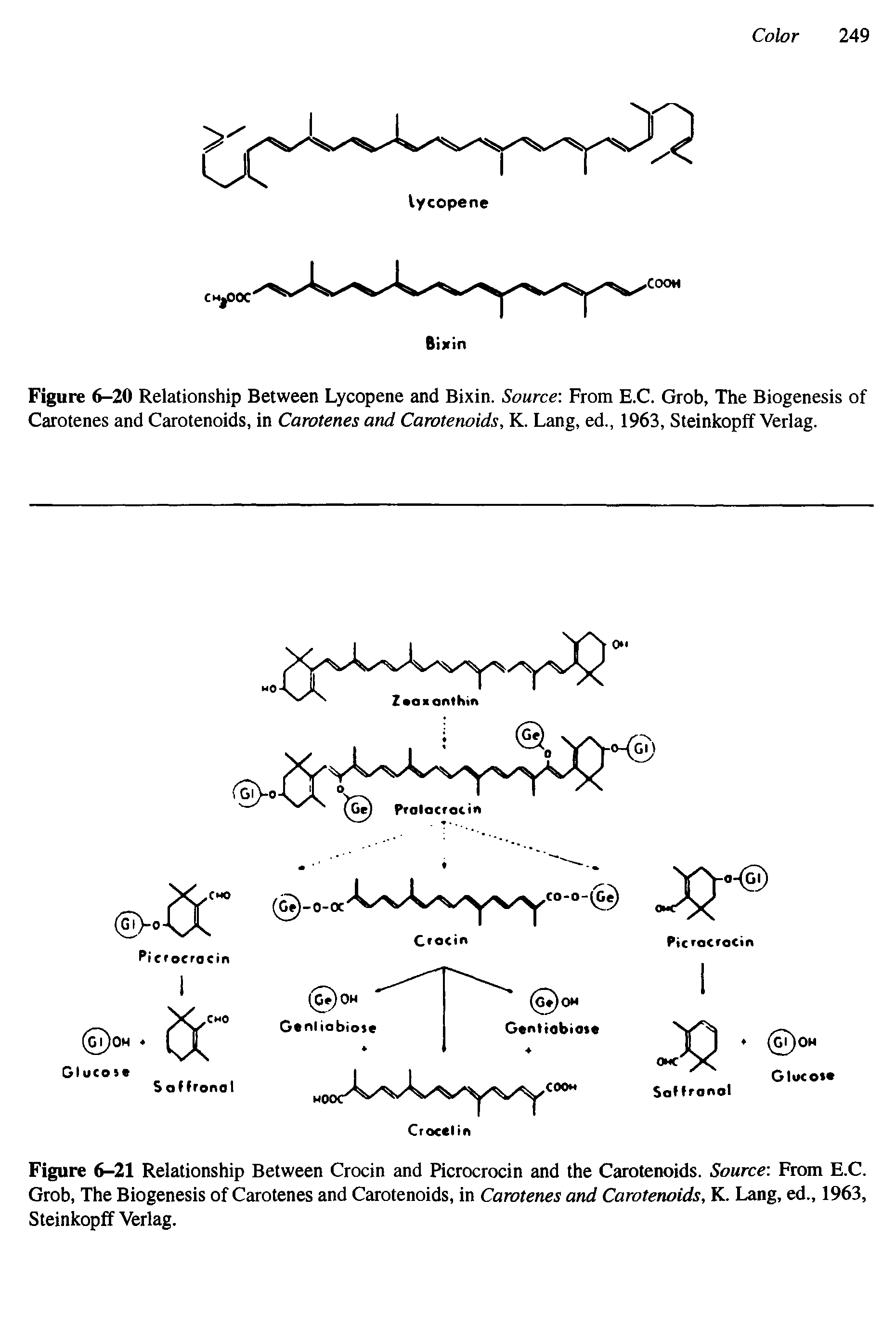 Figure 6-21 Relationship Between Crocin and Picrocrocin and the Carotenoids. Source From E.C. Grob, The Biogenesis of Carotenes and Carotenoids, in Carotenes and Carotenoids, K. Lang, ed., 1963, Steinkopff Verlag.