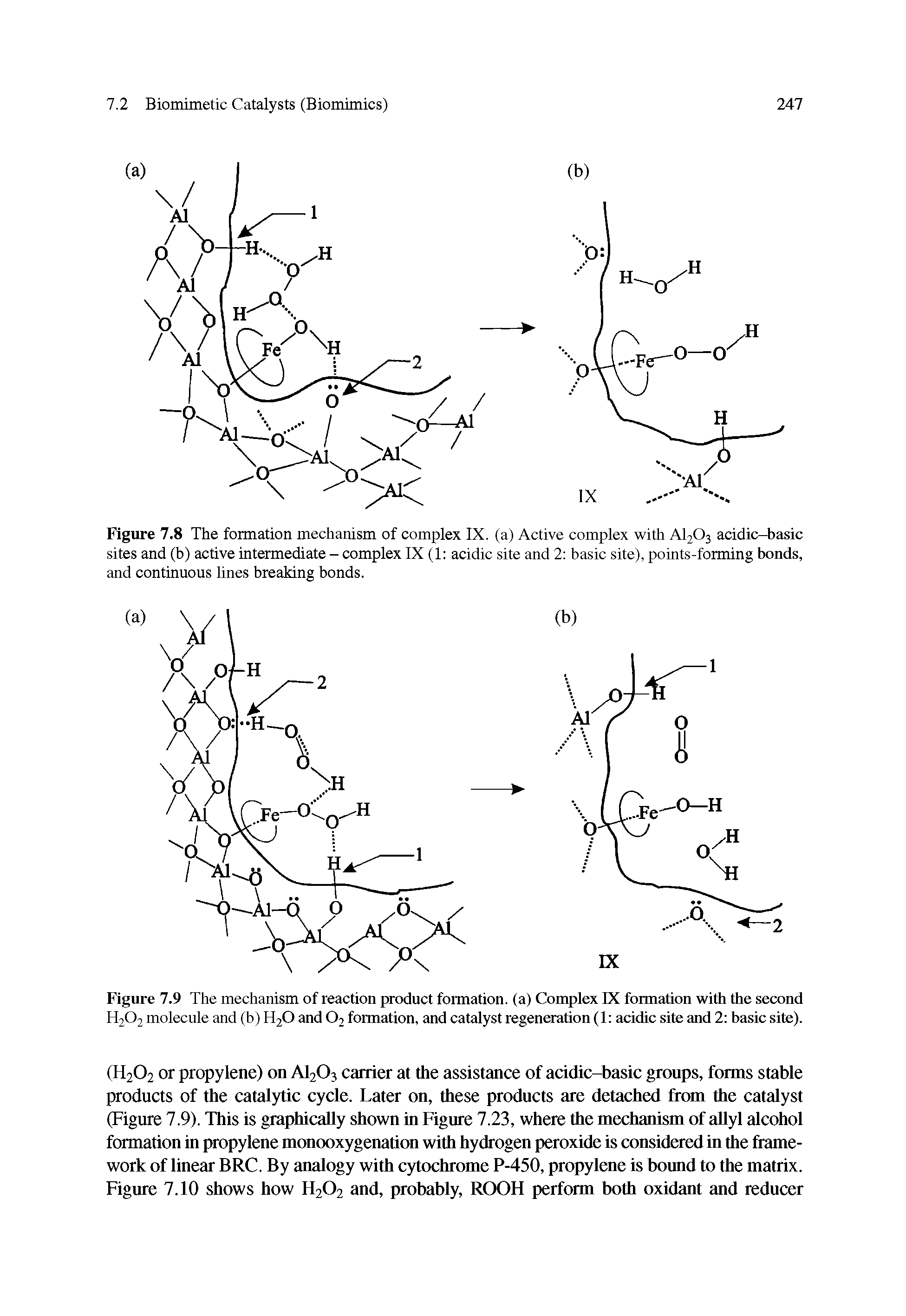 Figure 7.8 The formation mechanism of complex IX. (a) Active complex with A1203 acidic-basic sites and (b) active intermediate - complex IX (1 acidic site and 2 basic site), points-forming bonds, and continuous lines breaking bonds.