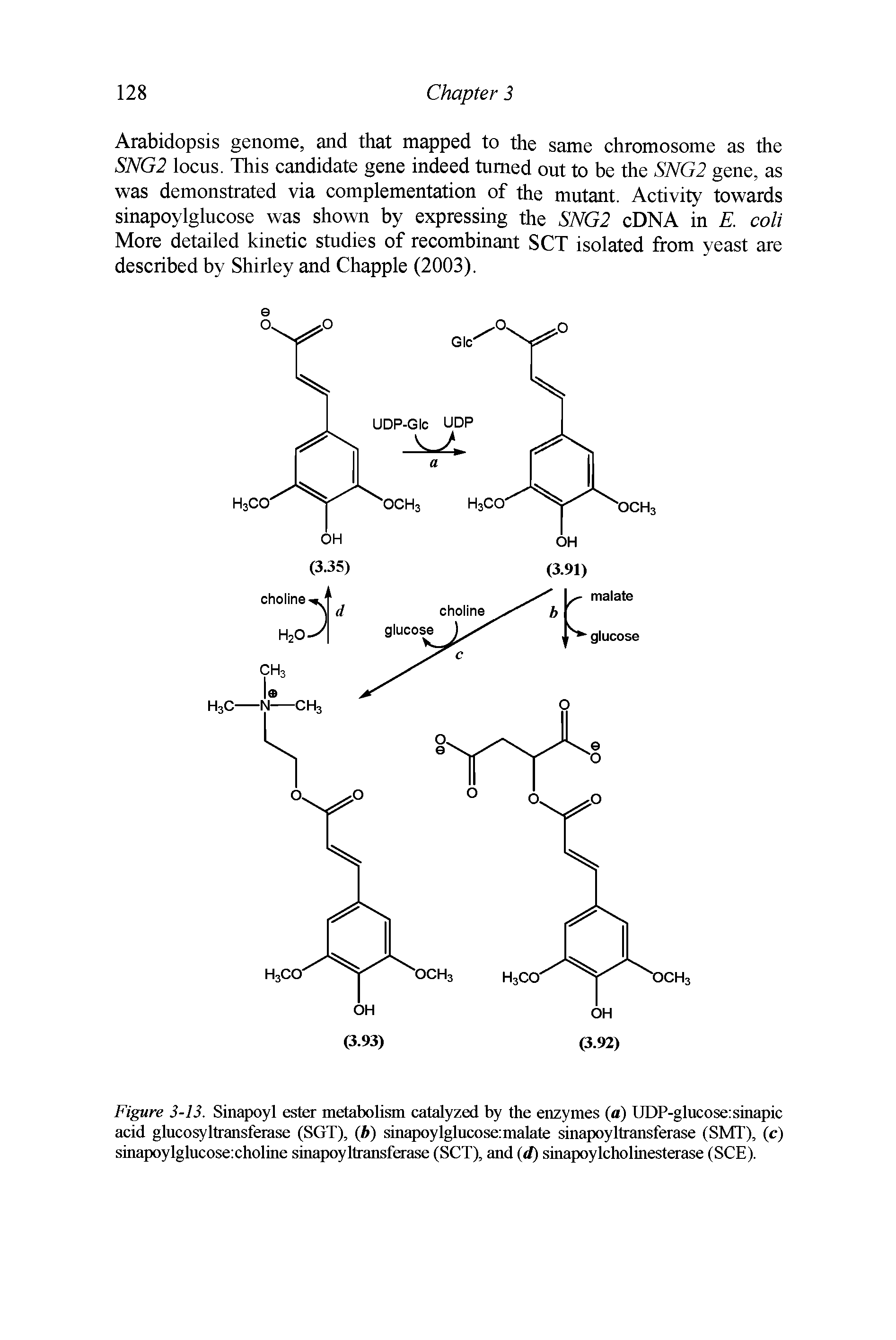 Figure 3-13. Sinapoyl ester metabolism catalyzed by the enzymes (a) UDP-glucose sinapic acid glucosyltransferase (SGT), (b) sinapoylglucose malate sinapoyltransferase (SMT), (c) sinapoylglucosexholine sinapoyltransferase (SCT), and (d) sinapoylcholinesterase (SCE).