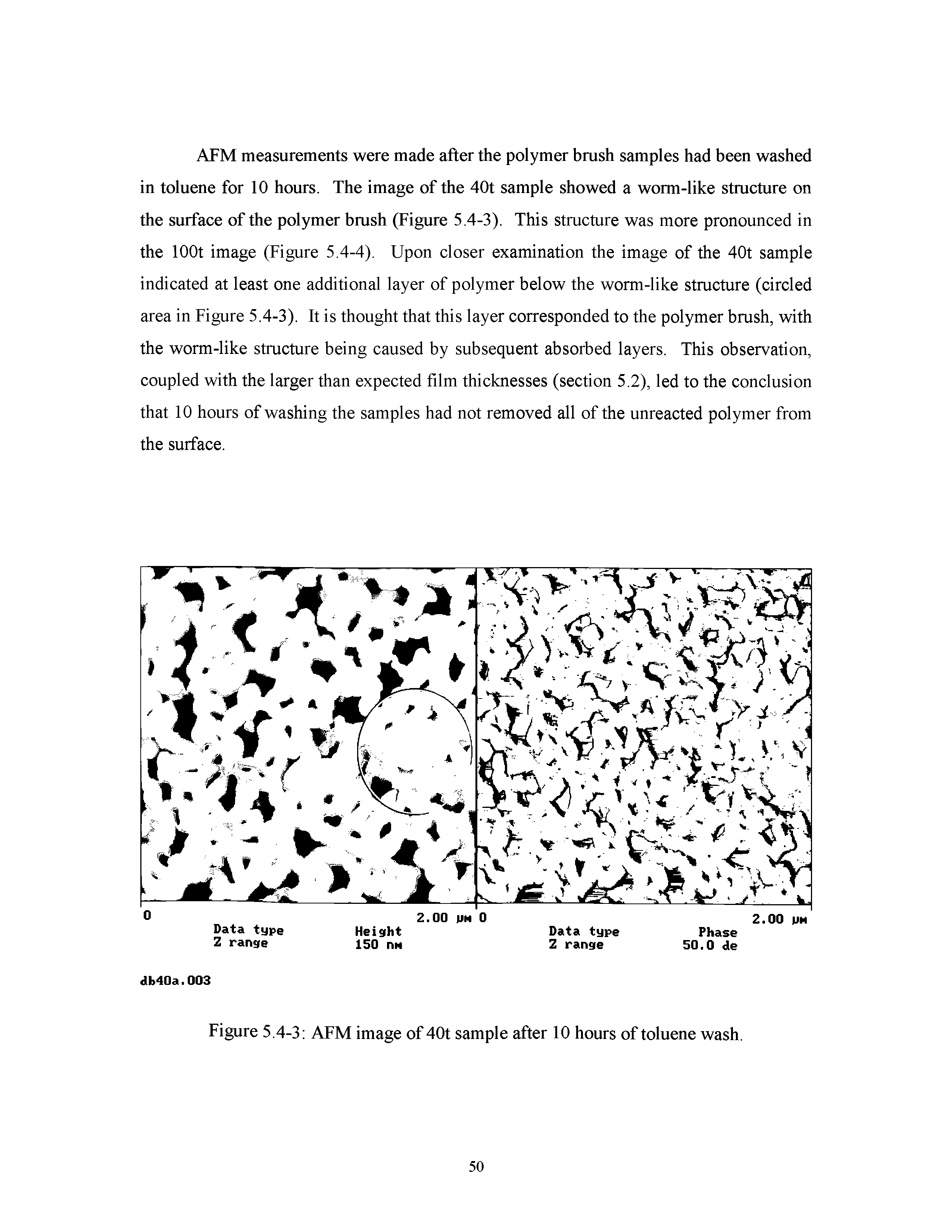 Figure 5.4-3 AFM image of 40t sample after 10 hours of toluene wash.