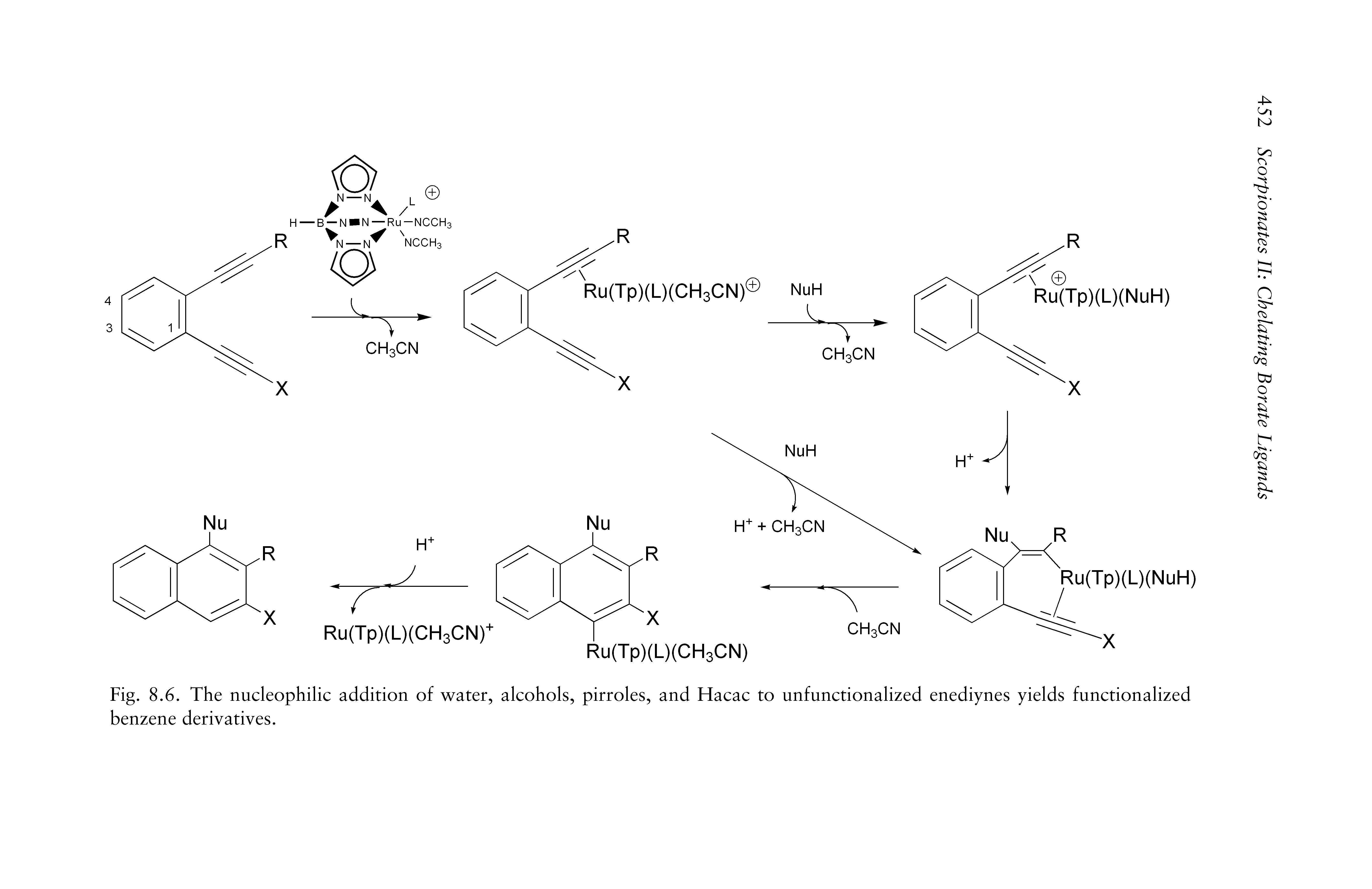Fig. 8.6. The nucleophilic addition of water, alcohols, pirroles, and Hacac to unfunctionalized enediynes yields functionalized benzene derivatives.