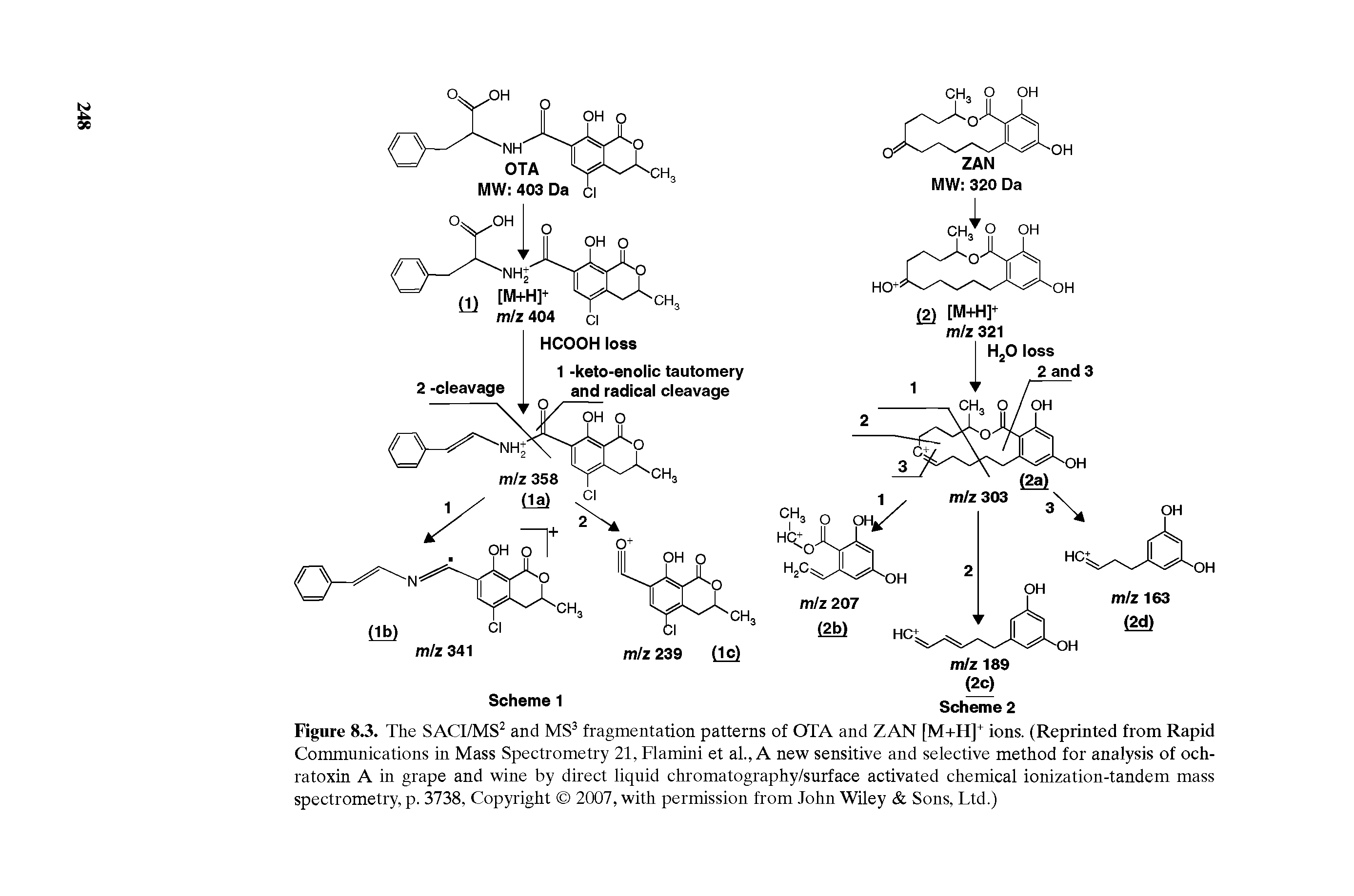 Figure 8.3. The SACI/MS2 and MS3 fragmentation patterns of OTA and ZAN [M+H]+ ions. (Reprinted from Rapid Communications in Mass Spectrometry 21, Flamini et al., A new sensitive and selective method for analysis of och-ratoxin A in grape and wine by direct liquid chromatography/surface activated chemical ionization-tandem mass spectrometry, p. 3738, Copyright 2007, with permission from John Wiley Sons, Ltd.)...