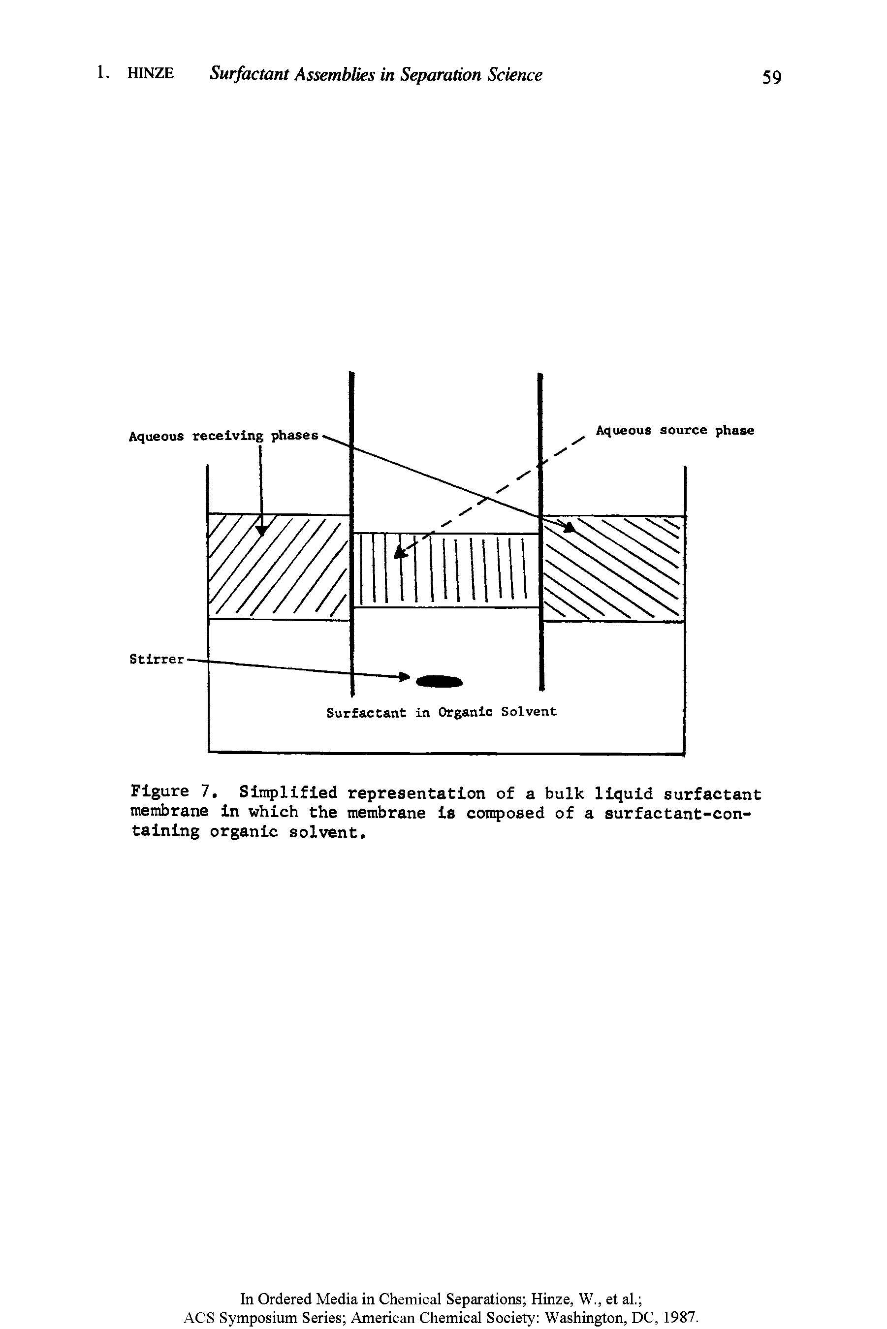 Figure 7. Simplified representation of a bulk liquid surfactant membrane in which the membrane is composed of a surfactant-containing organic solvent.