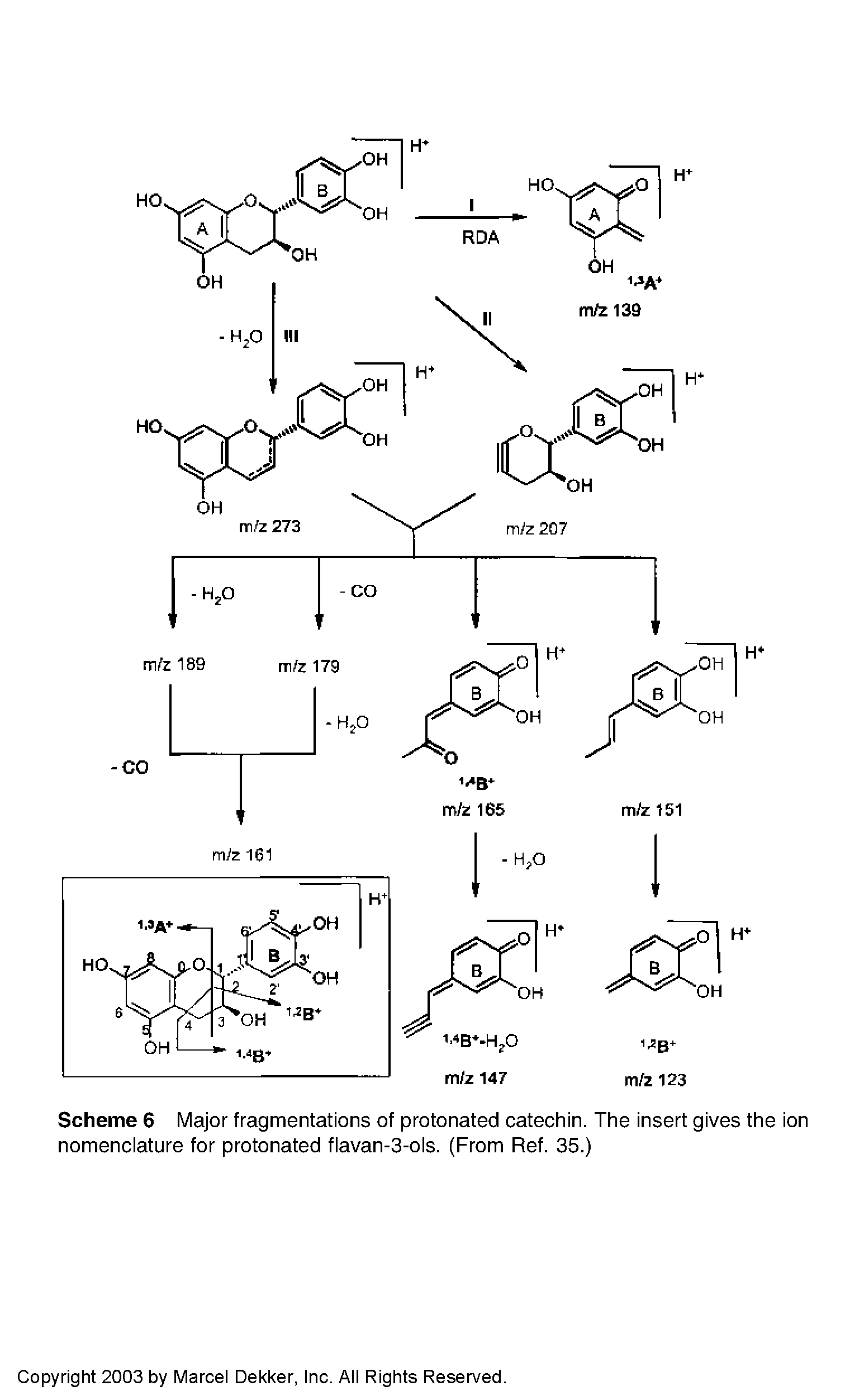 Scheme 6 Major fragmentations of protonated catechin. The insert gives the ion nomenciature for protonated fiavan-3-ois. (From Ref. 35.)...