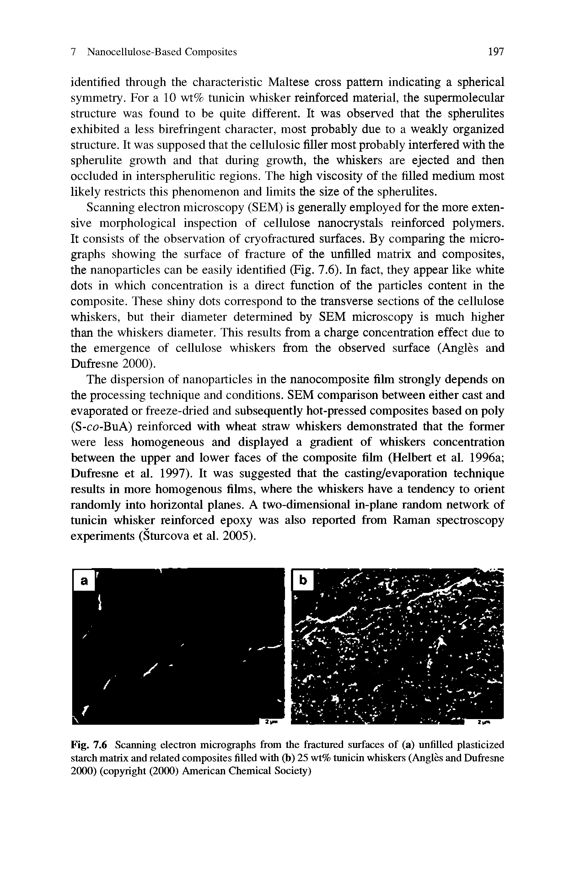 Fig. 7.6 Scanning electron micrographs from the fractured surfaces of (a) unfilled plasticized starch matrix and related composites filled with (b) 25 wt% tunicin whiskers (Angles and Dufresne 2000) (copyright (2000) American Chemical Society)...