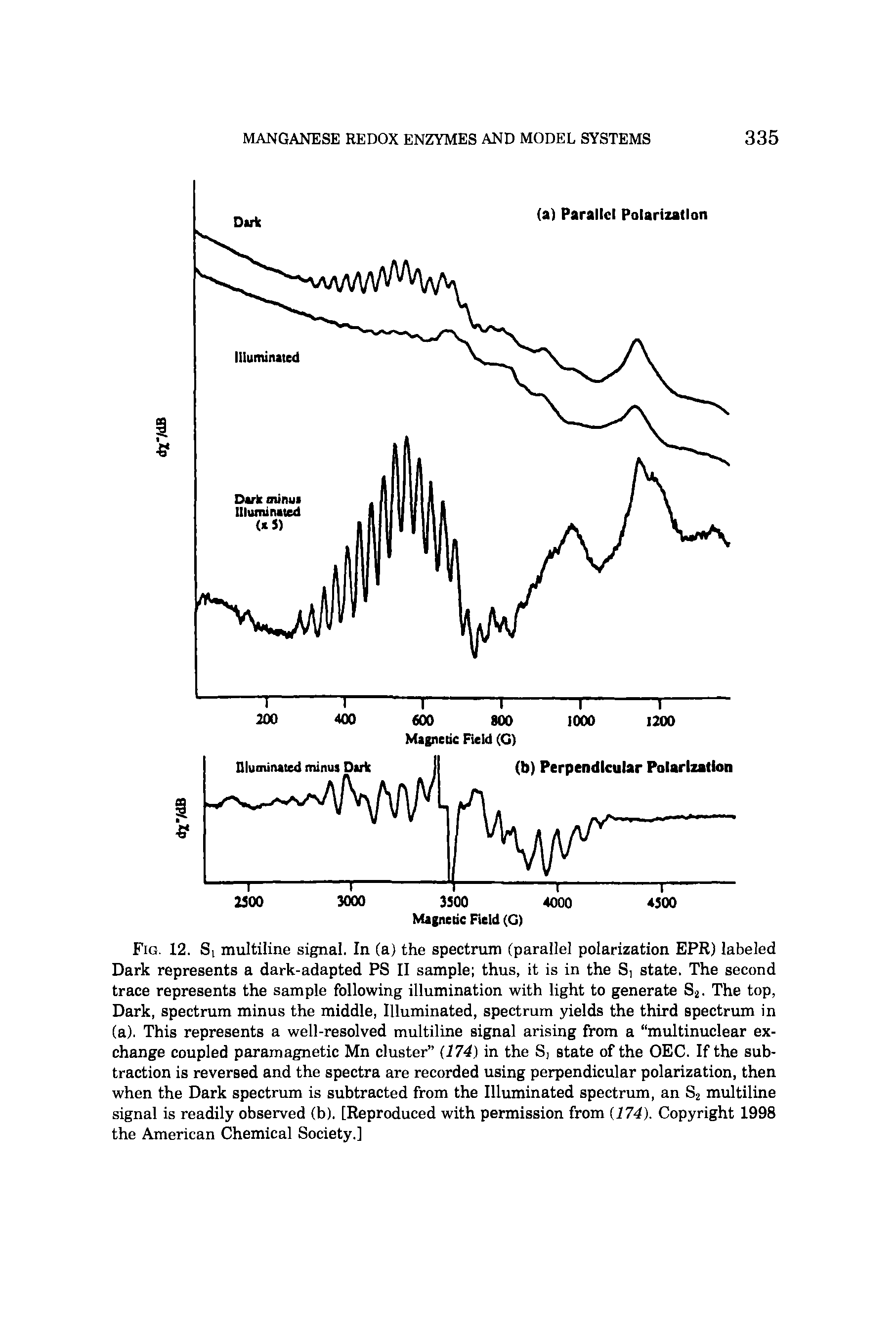 Fig. 12. S[ multiline signal. In (a) the spectrum (parallel polarization EPR) labeled Dark represents a dark-adapted PS II sample thus, it is in the S, state. The second trace represents the sample following illumination with light to generate S2. The top, Dark, spectrum minus the middle, Illuminated, spectrum yields the third spectrum in (a). This represents a well-resolved multiline signal arising from a multinuclear exchange coupled paramagnetic Mn cluster (174) in the S, state of the OEC. If the subtraction is reversed and the spectra are recorded using perpendicular polarization, then when the Dark spectrum is subtracted from the Illuminated spectrum, an S2 multiline signal is readily observed (b). [Reproduced with permission from (174). Copyright 1998 the American Chemical Society.]...