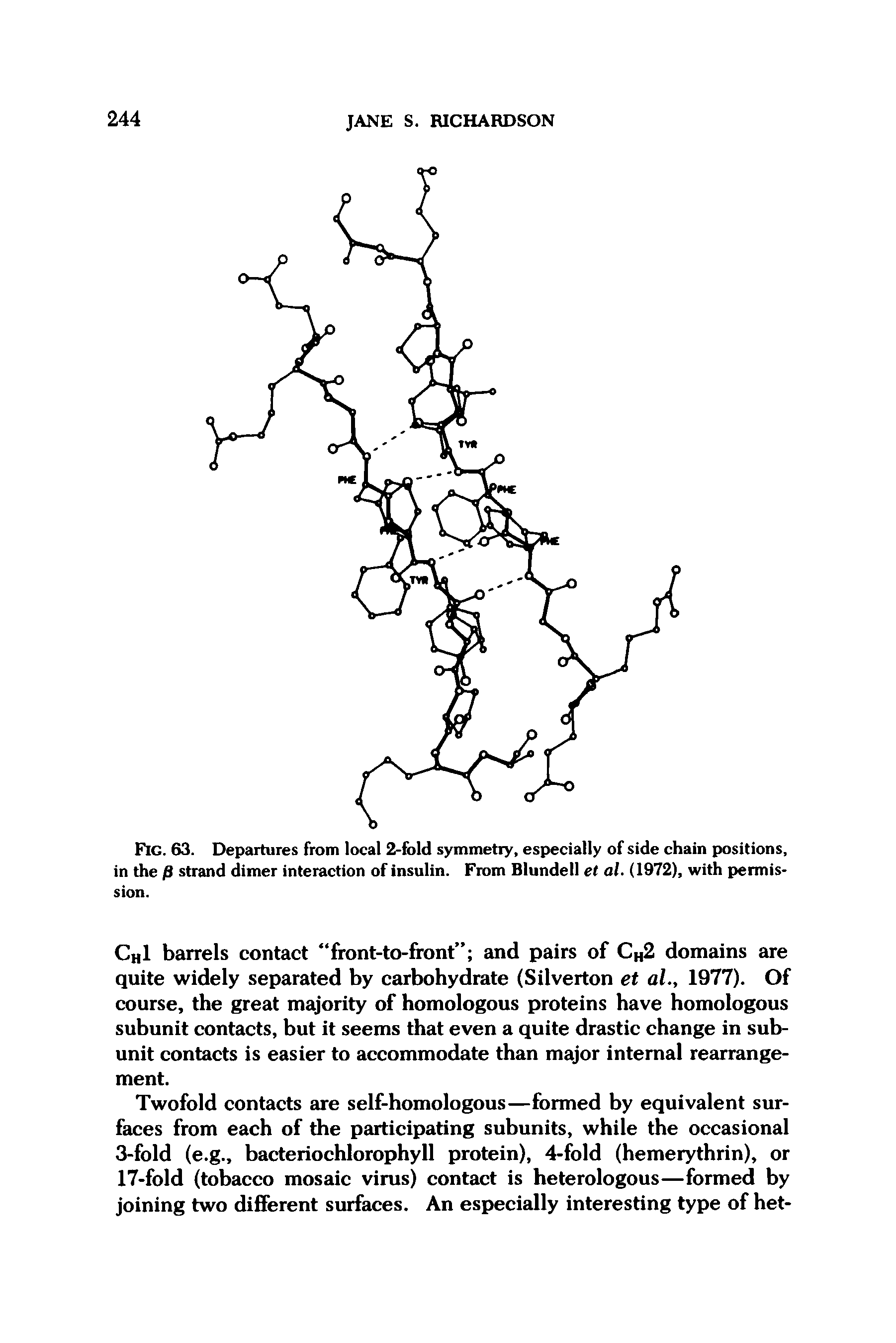 Fig. 63. Departures from local 2-fold symmetry, especially of side chain positions, in the j8 strand dimer interaction of insulin. From Blundell et al. (1972), with permission.