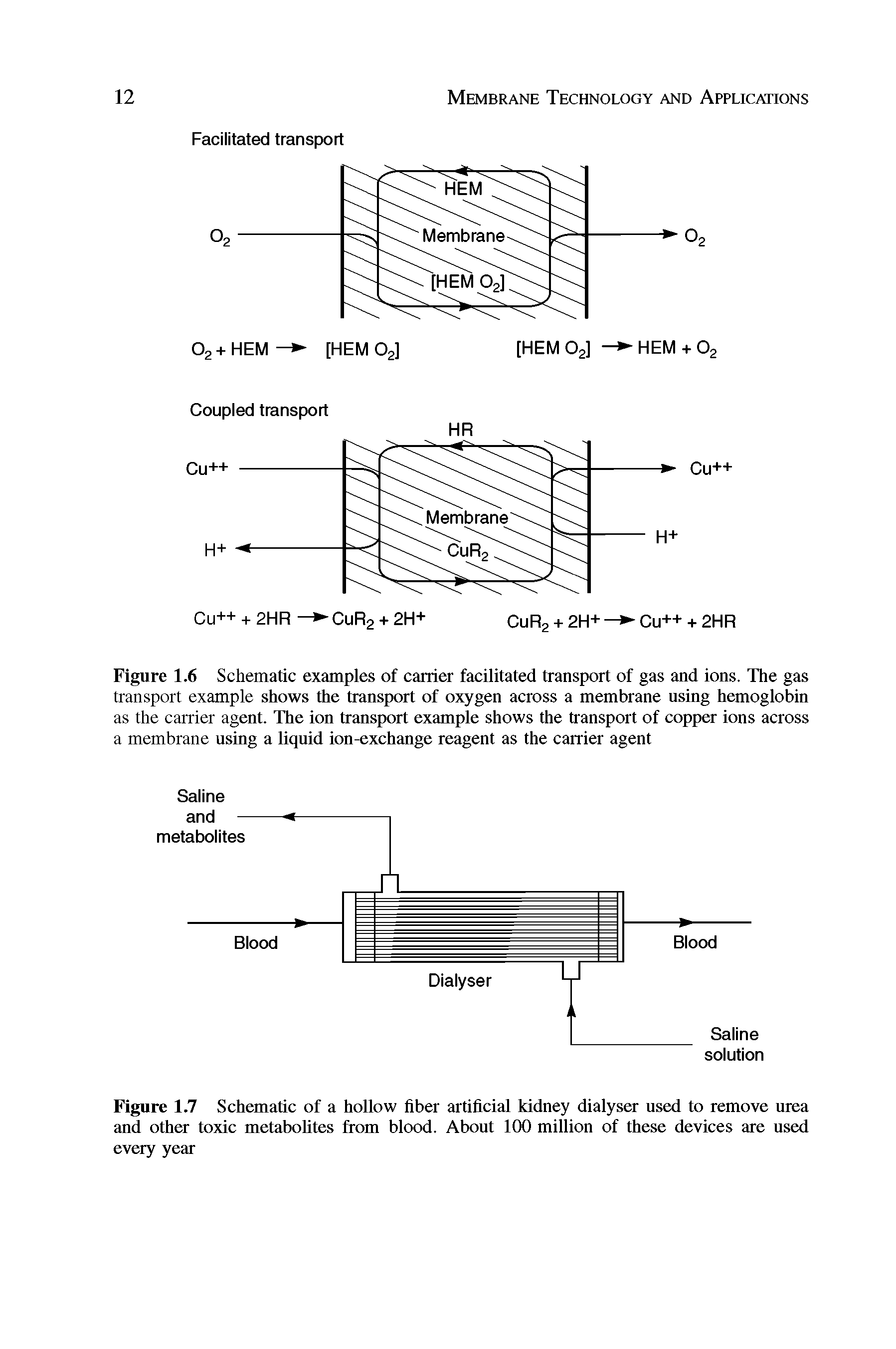 Figure 1.6 Schematic examples of carrier facilitated transport of gas and ions. The gas transport example shows the transport of oxygen across a membrane using hemoglobin as the carrier agent. The ion transport example shows the transport of copper ions across a membrane using a liquid ion-exchange reagent as the carrier agent...