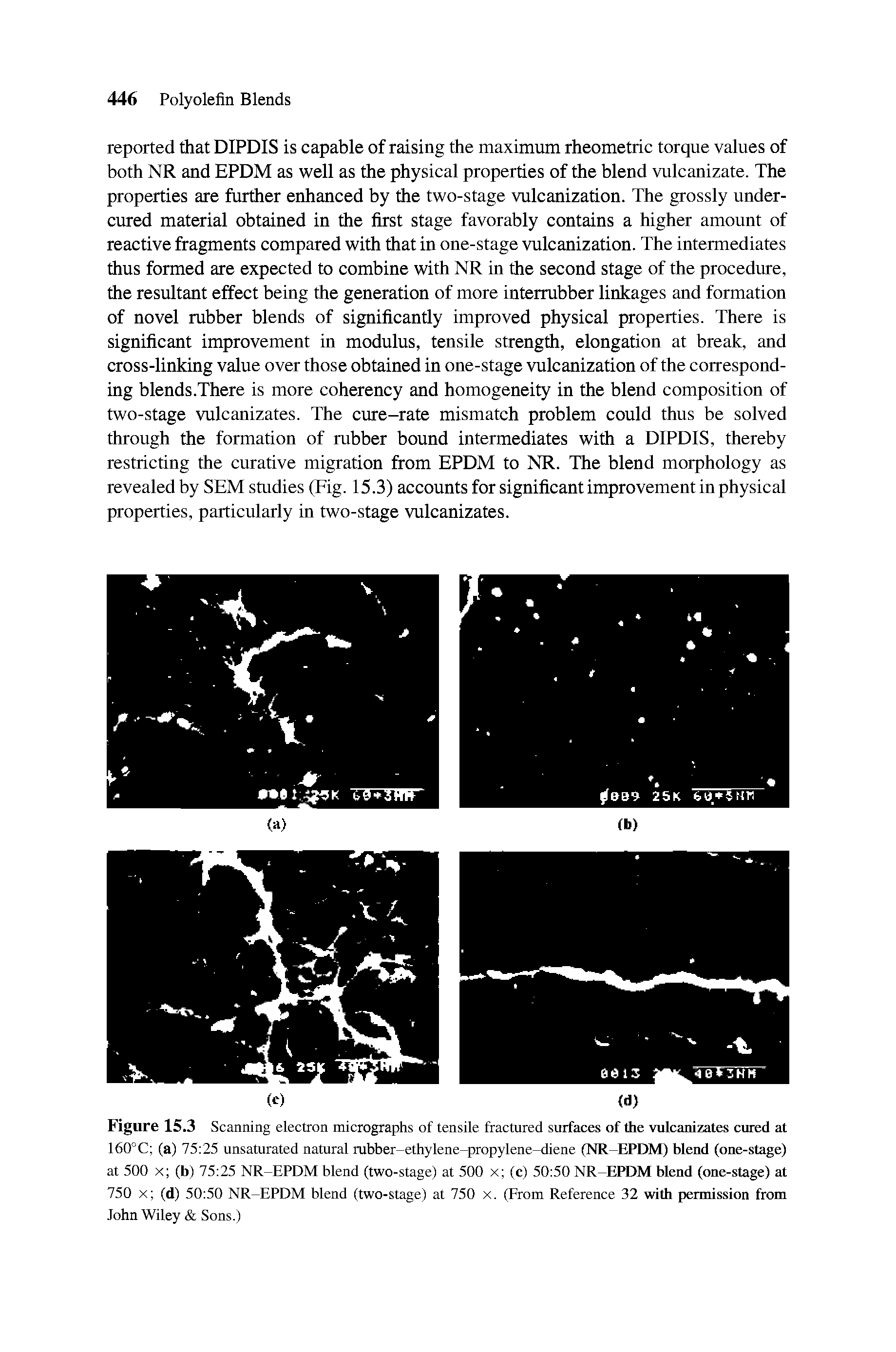 Figure 15.3 Scanning electron micrographs of tensile fractured surfaces of the vulcanizates cured at 160°C (a) 75 25 unsaturated natural rubber-ethylene-propylene-diene (NR-EPDM) blend (one-stage) at 500 x (b) 75 25 NR-EPDM blend (two-stage) at 500 x (c) 50 50 NR-EPDM blend (one-stage) at 750 x (d) 50 50 NR-EPDM blend (two-stage) at 750 x. (From Reference 32 with permission from John Wiley Sons.)...