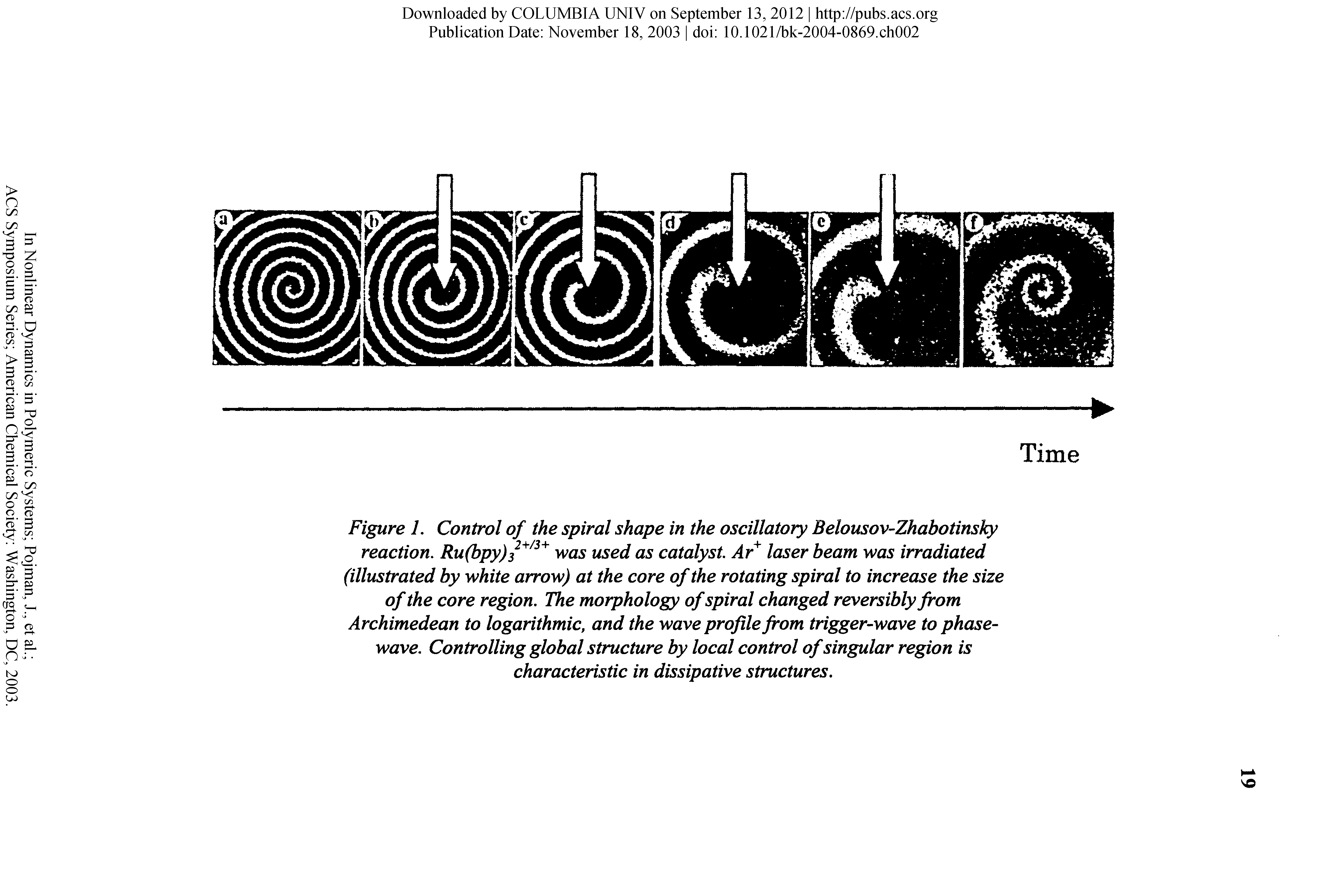 Figure L Control of the spiral shape in the oscillatory Belousov-Zhabotinsky reaction. Ru(bpy)3 was used as catalyst. Ar laser beam was irradiated (illustrated by white arrow) at the core of the rotating spiral to increase the size of the core region. The morphology of spiral changed reversibly from Archimedean to logarithmic, and the wave profile from trigger-wave to phase-wave. Controlling global structure by local control of singular region is characteristic in dissipative structures.