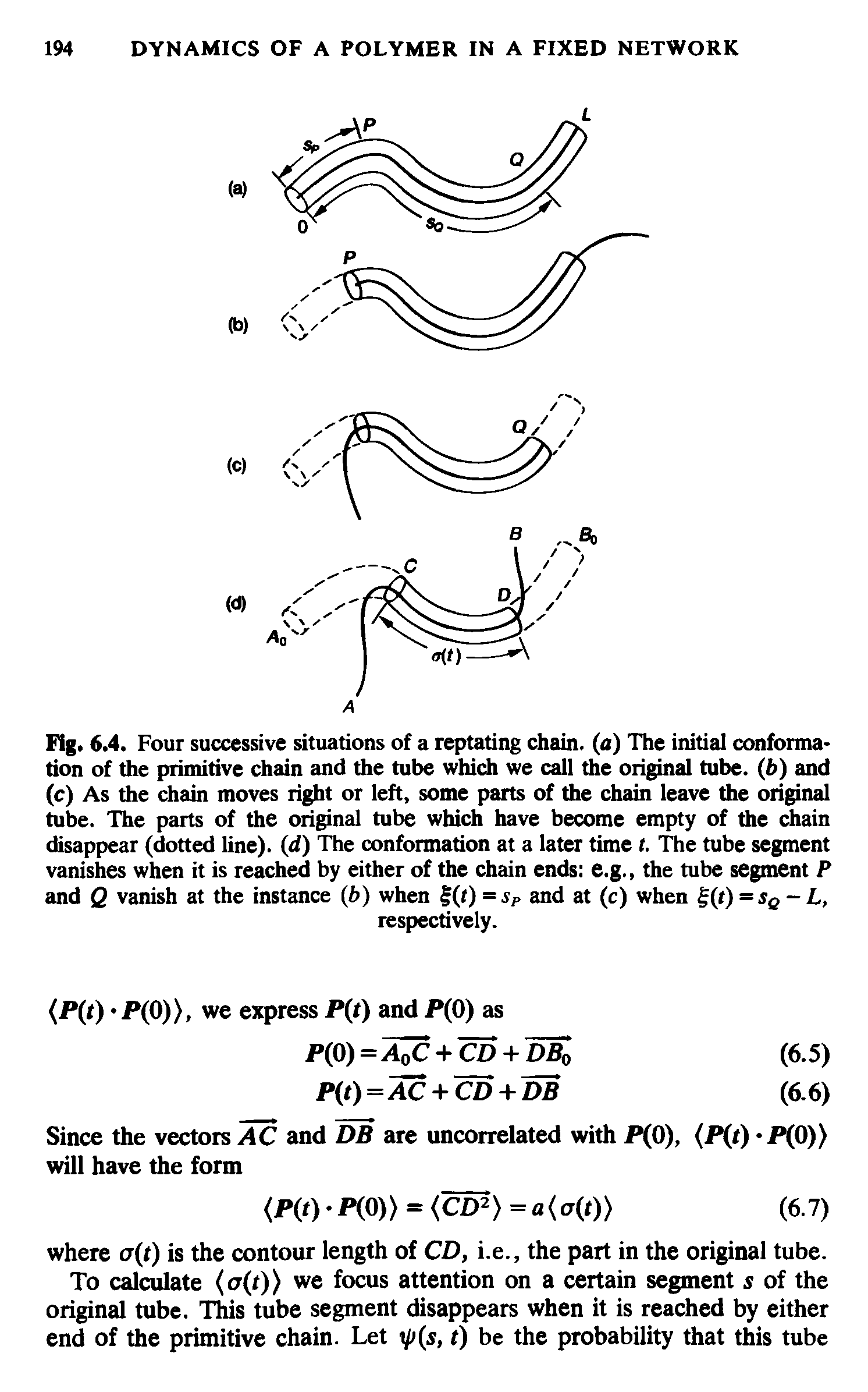 Fig. 6.4. Four successive situations of a reptating chain, (a) The initial conformation of the primitive chain and the tube which we call the original tube, (b) and (c) As the chain moves right or left, some parts of the chain leave the original tube. The parts of the original tube which have become empty of the chain disappear (dotted line), (d) The conformation at a later time t. The tube segment vanishes when it is reached by either of the chain ends e.g., the tube segment P and Q vanish at the instance (ft) when (t) = Sp and at (c) when t) = SQ-L,...