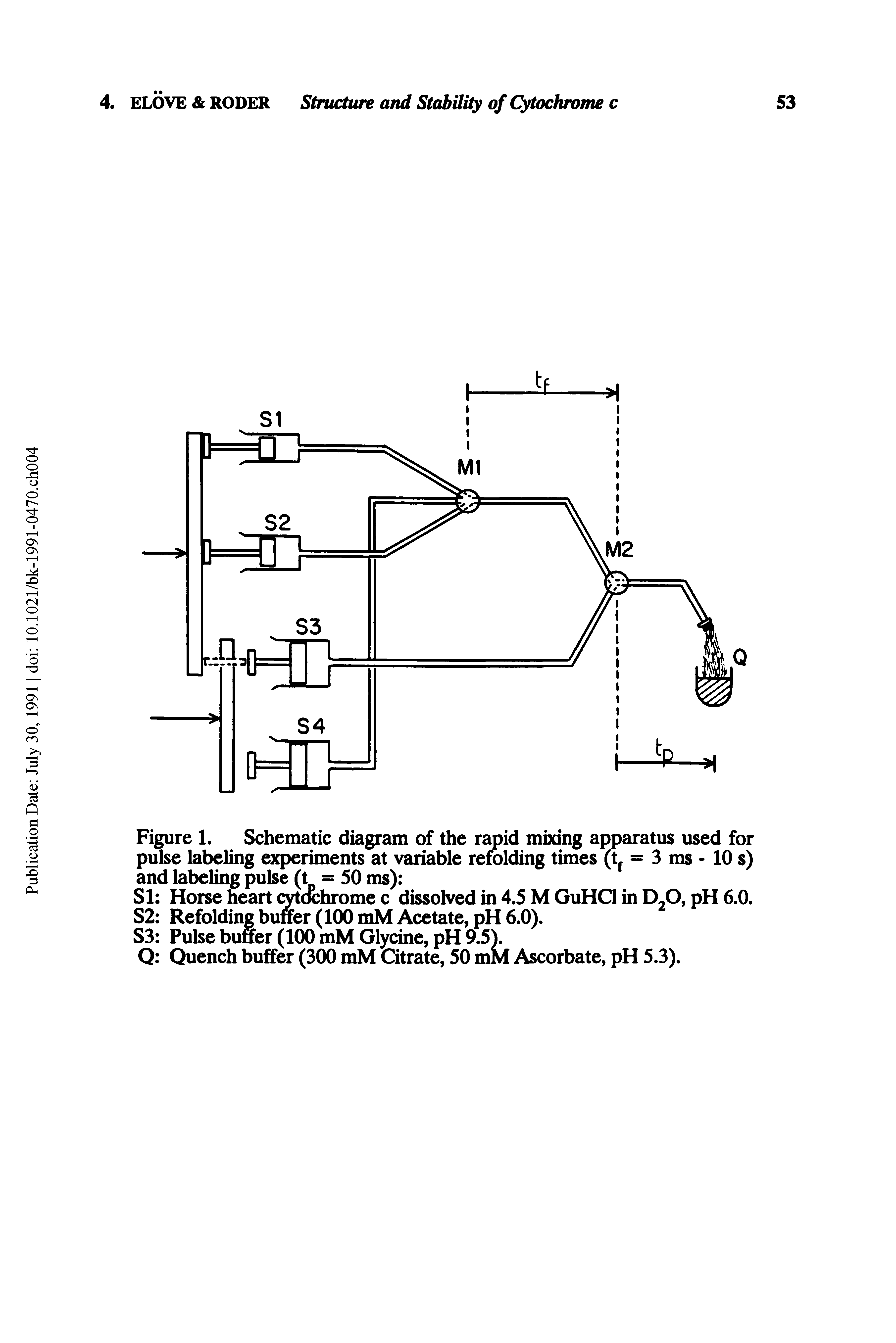 Figure 1. Schematic diagram of the rapid mixing apparatus used for pulse labeling experiments at variable refolding times (t = 3 ms - 10 s) and labeling pulse (t = 50 ms) ...