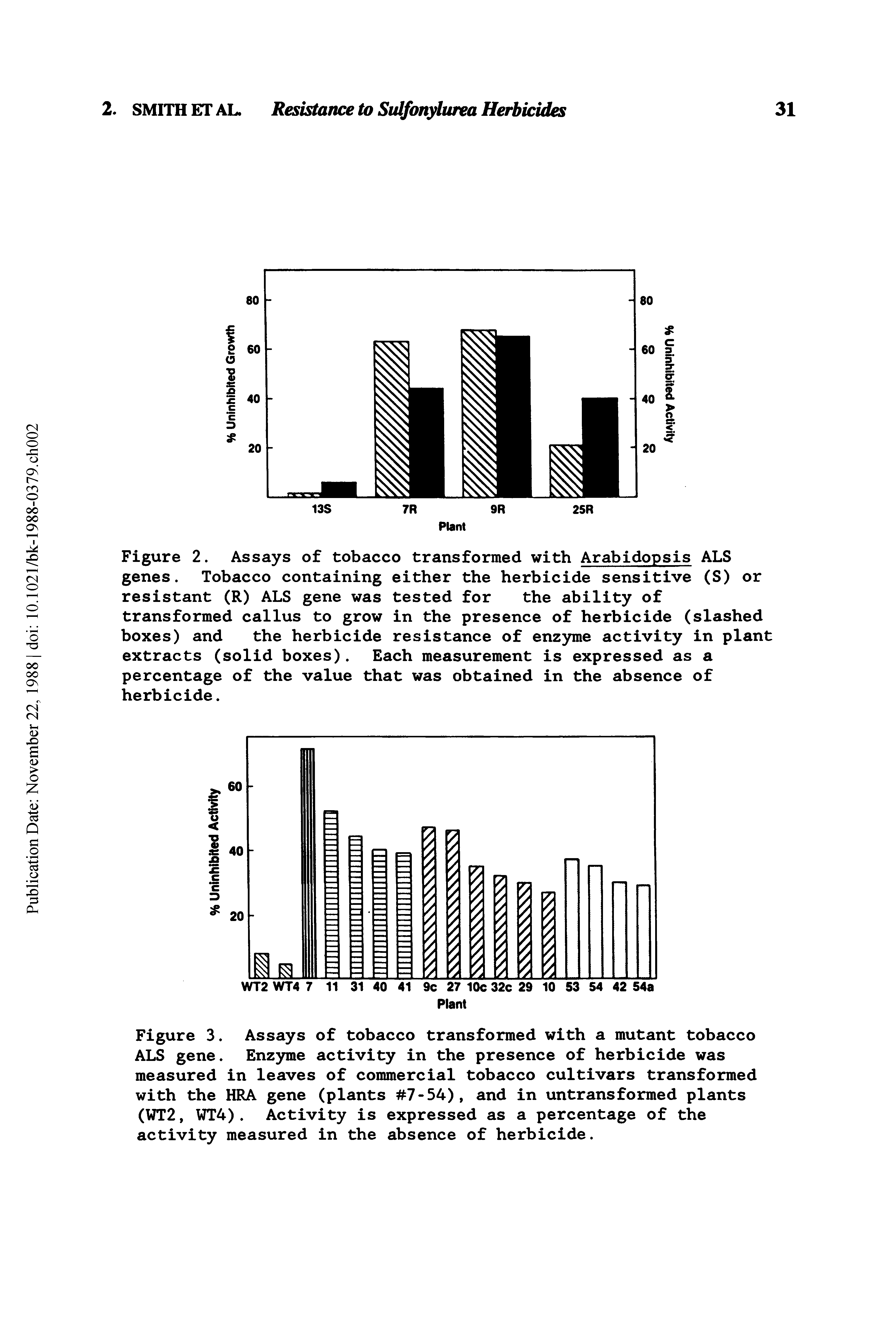 Figure 3. Assays of tobacco transformed with a mutant tobacco ALS gene. Enzyme activity in the presence of herbicide was measured in leaves of commercial tobacco cultivars transformed with the HRA gene (plants 7-54), and in untransformed plants (WT2, WT4). Activity is expressed as a percentage of the activity measured in the absence of herbicide.