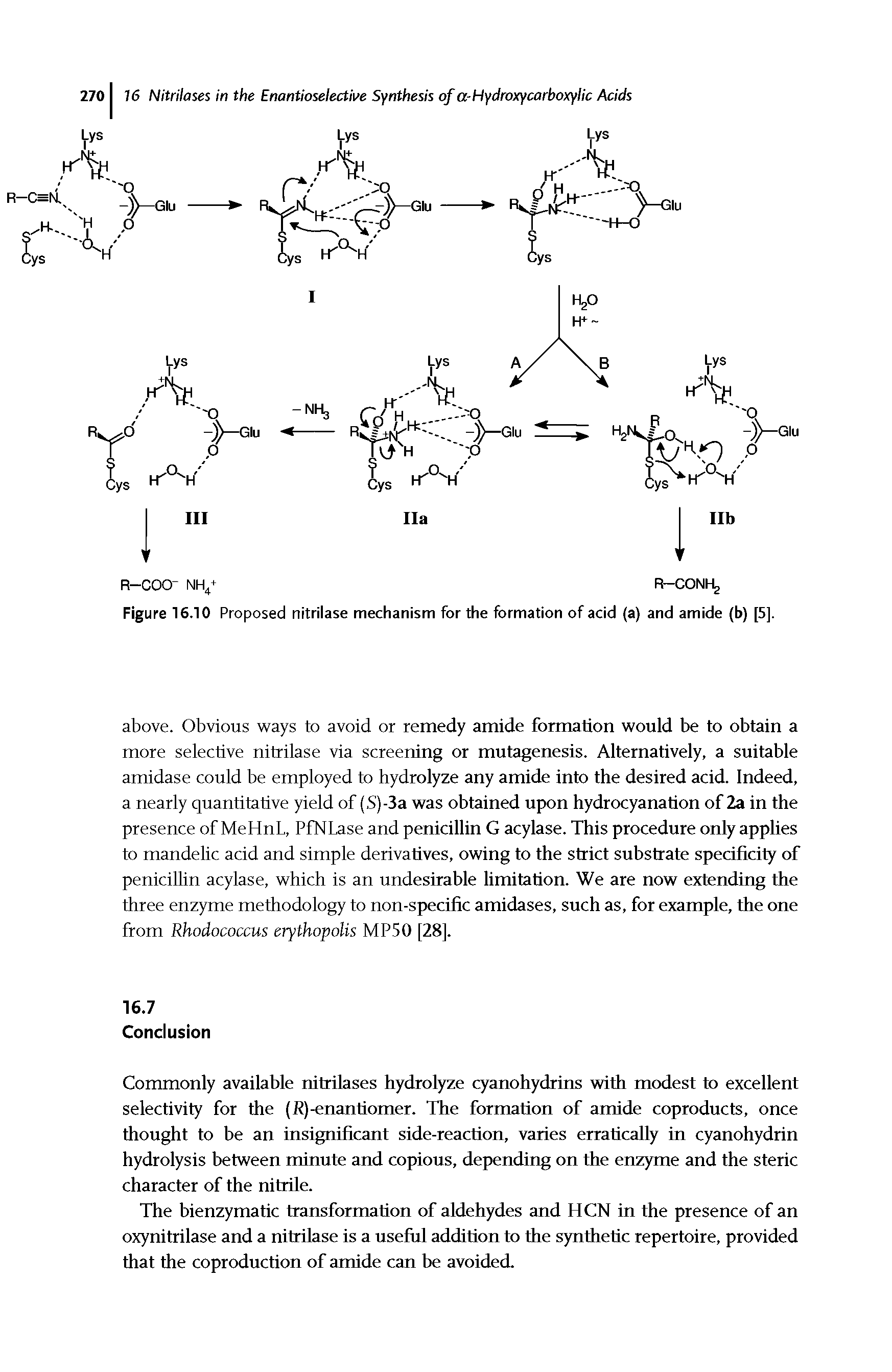 Figure 16.10 Proposecd nitrilase mechanism for the formation of acid (a) and amide (b) [5],...
