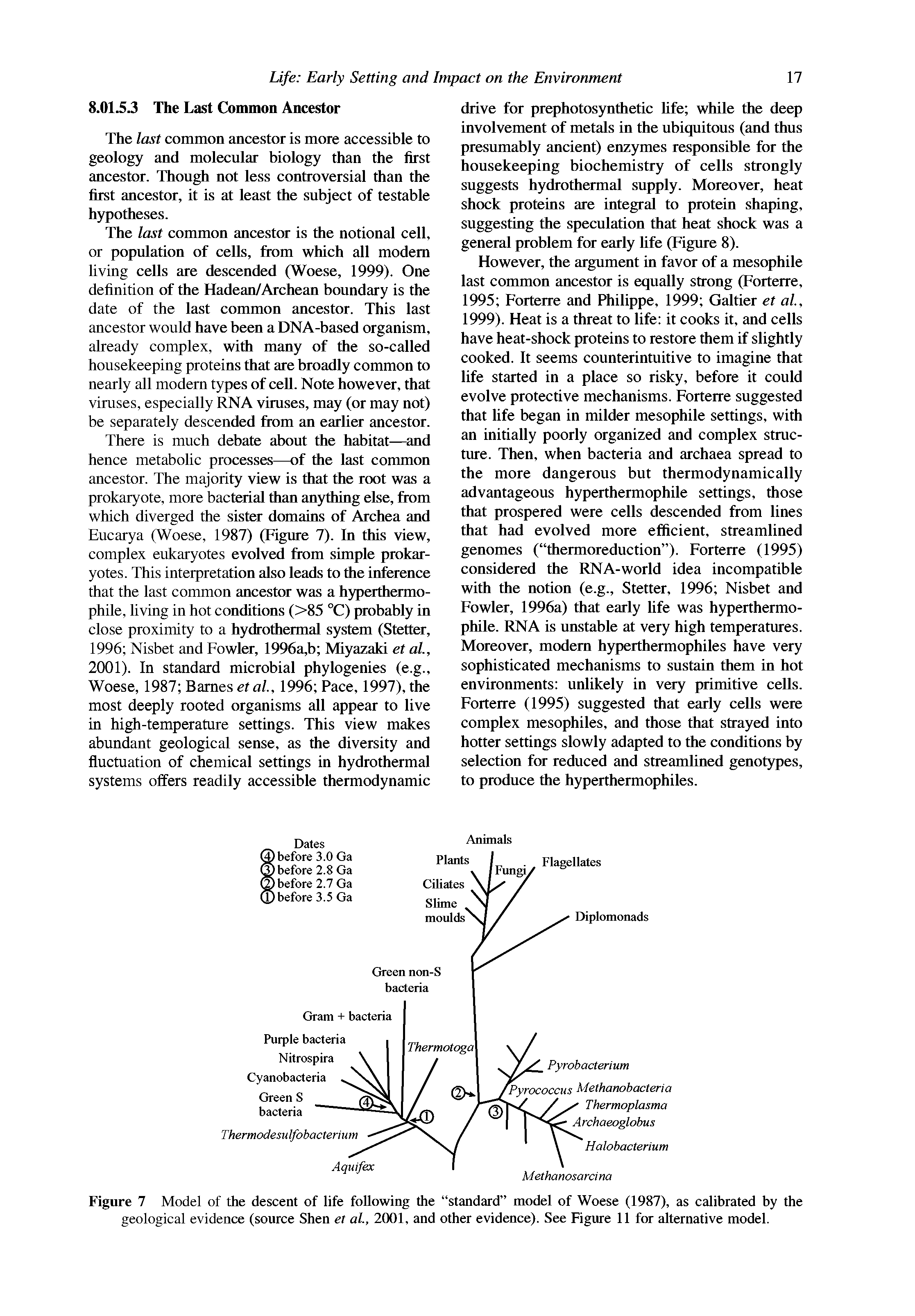 Figure 7 Model of the descent of life following the standard model of Woese (1987), as calibrated by the geological evidence (source Shen et al, 2001, and other evidence). See Figure 11 for alternative model.